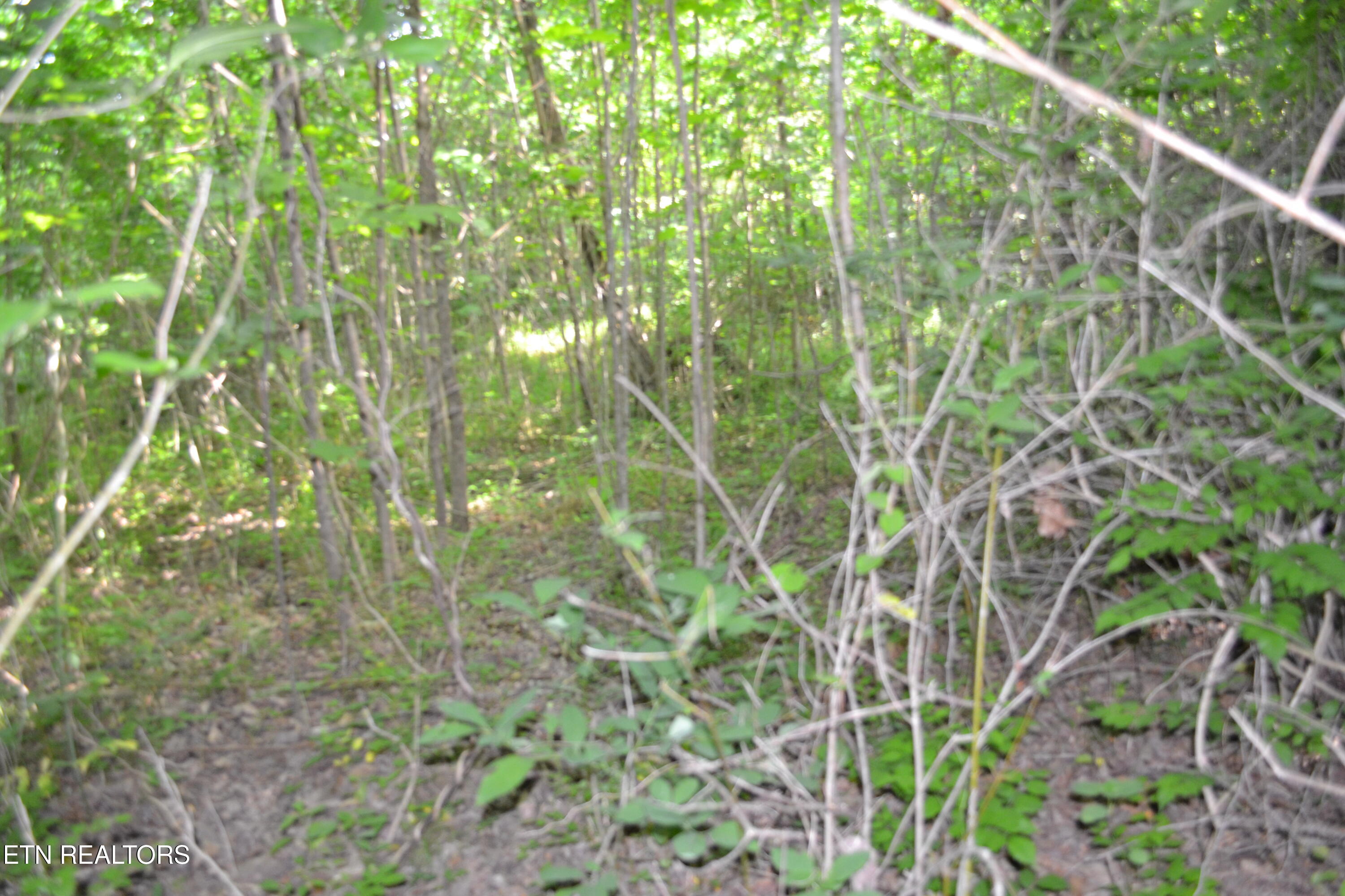 5AC Dynamite Lane Livingston TN 38570
