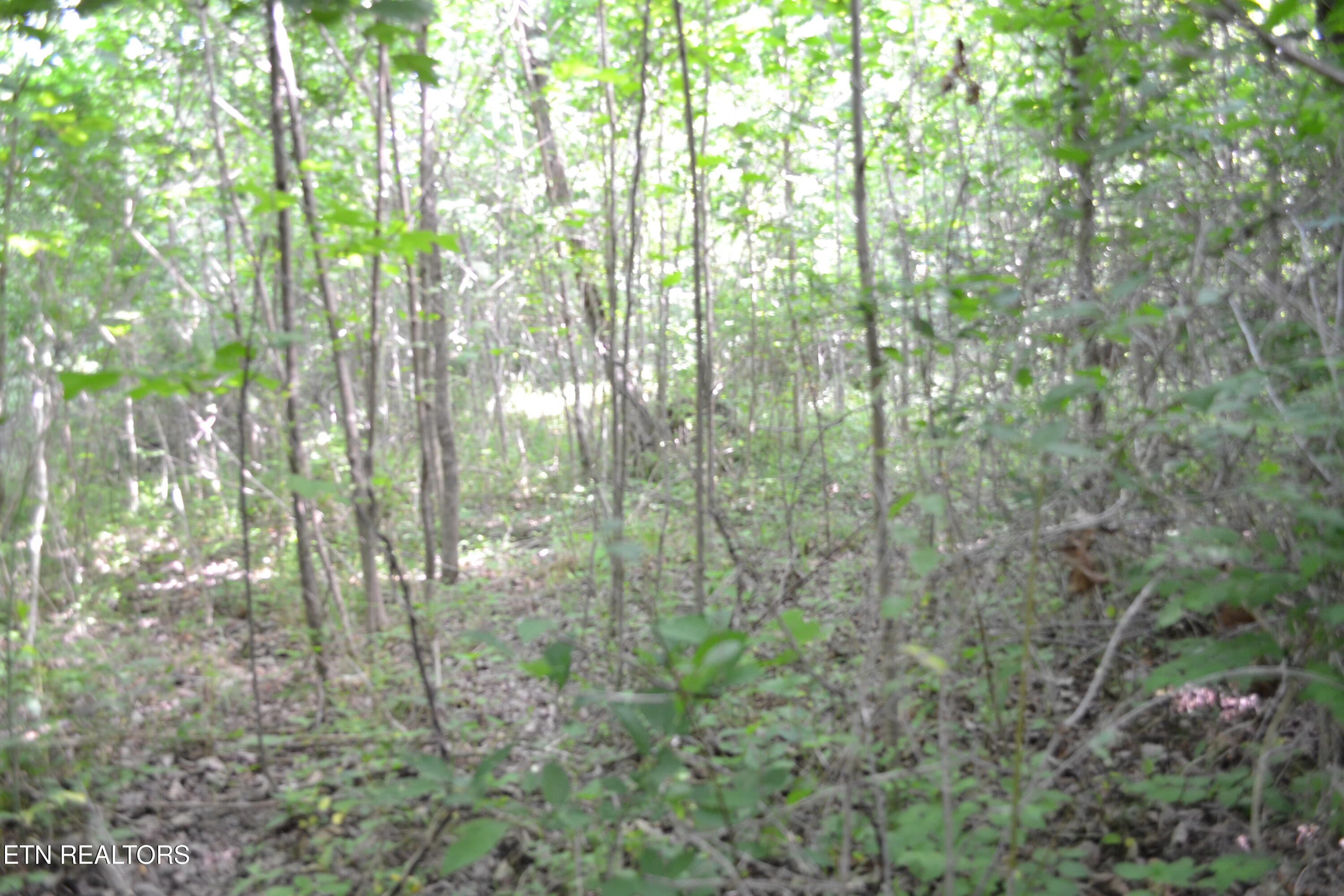 5AC Dynamite Lane Livingston TN 38570