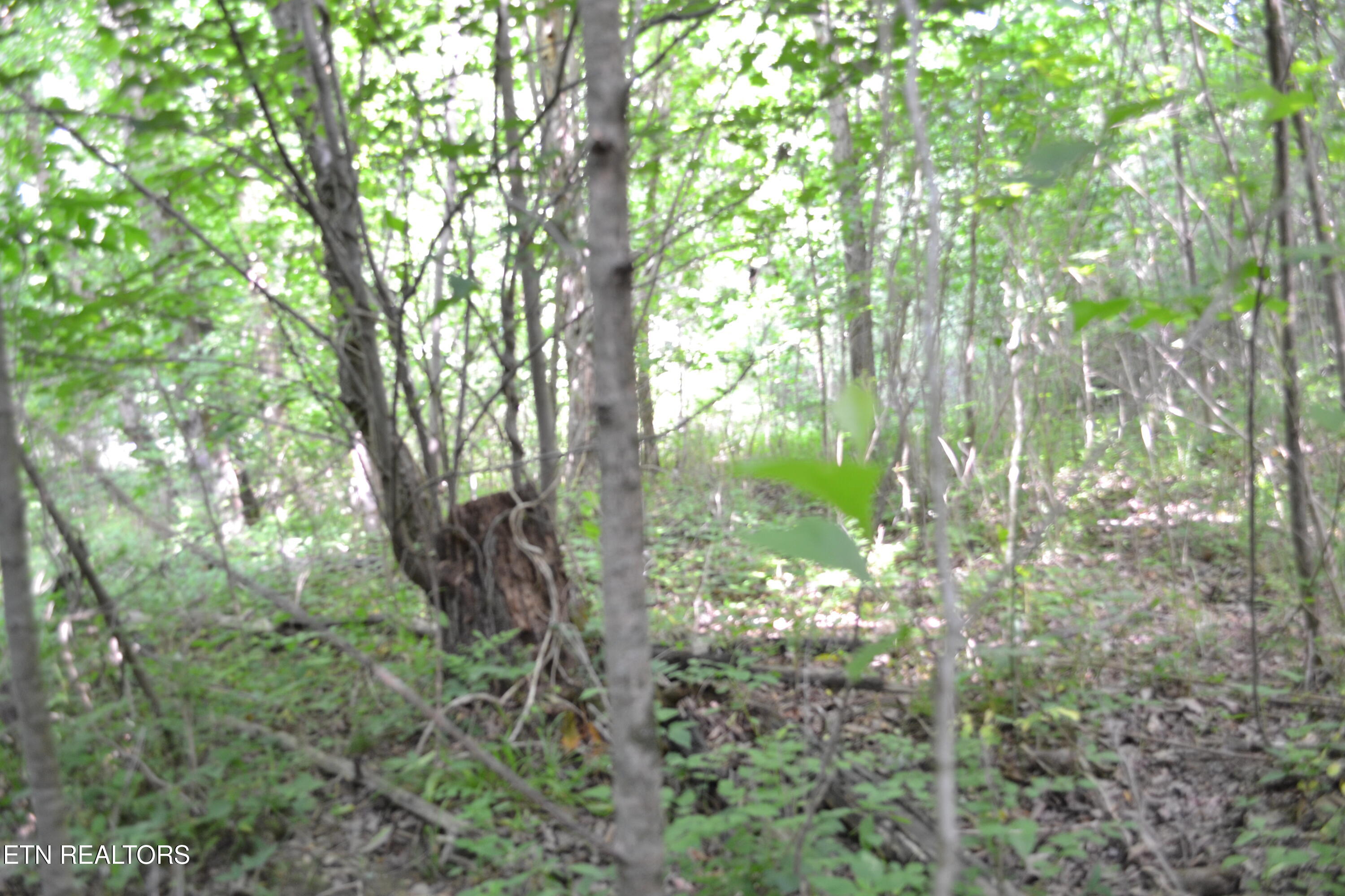 5AC Dynamite Lane Livingston TN 38570