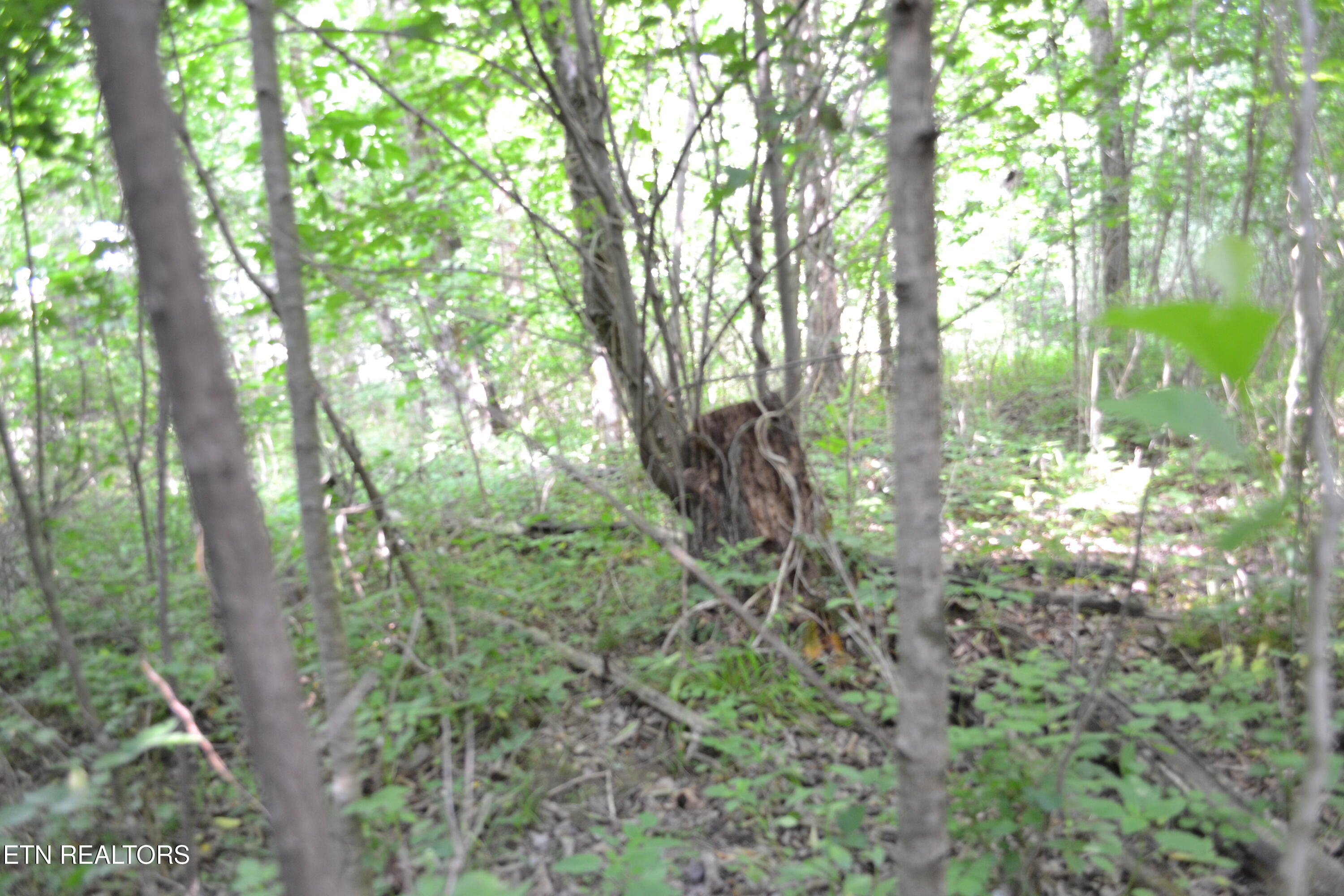 5AC Dynamite Lane Livingston TN 38570
