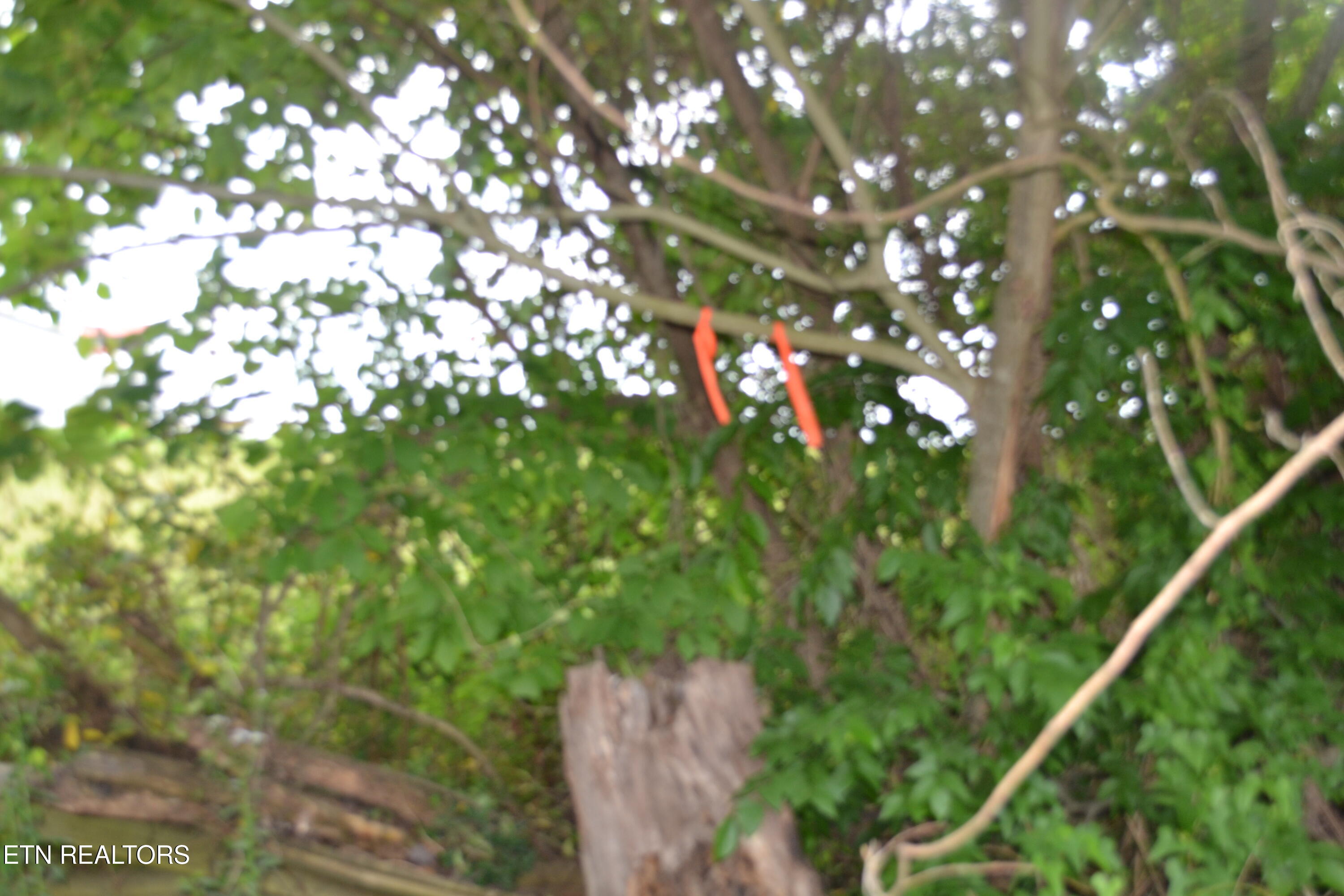 5AC Dynamite Lane Livingston TN 38570
