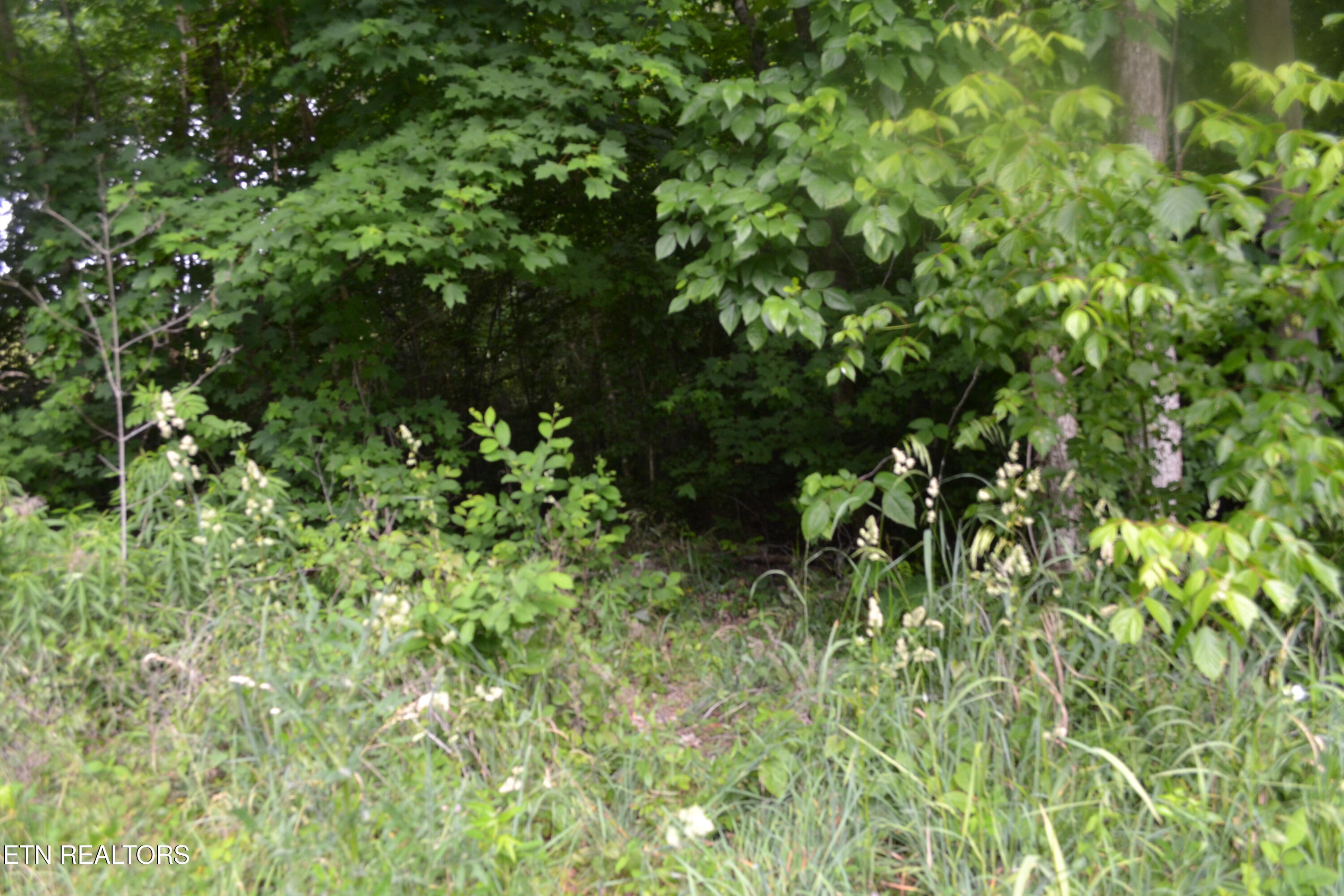 5AC Dynamite Lane Livingston TN 38570