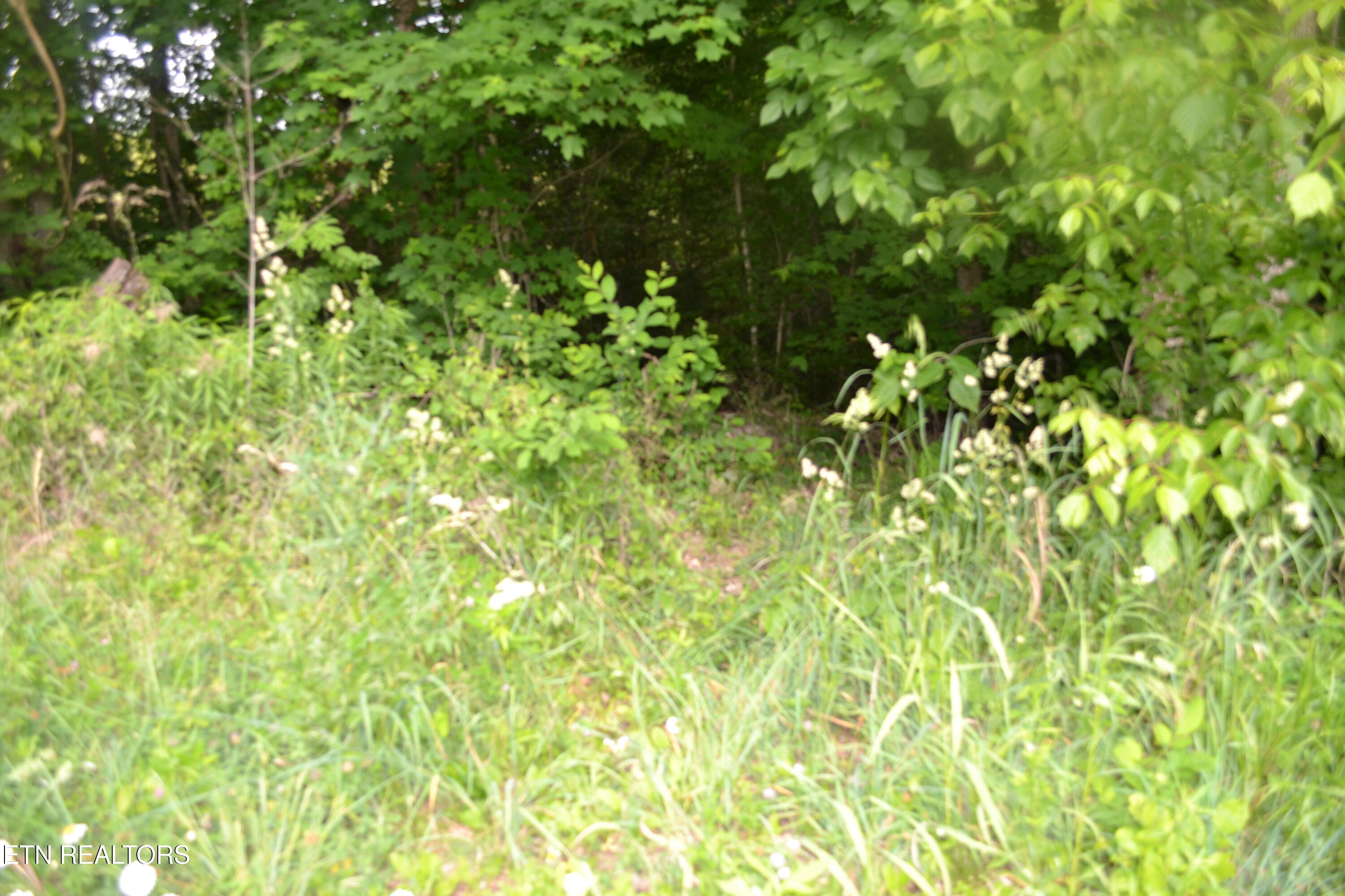 5AC Dynamite Lane Livingston TN 38570