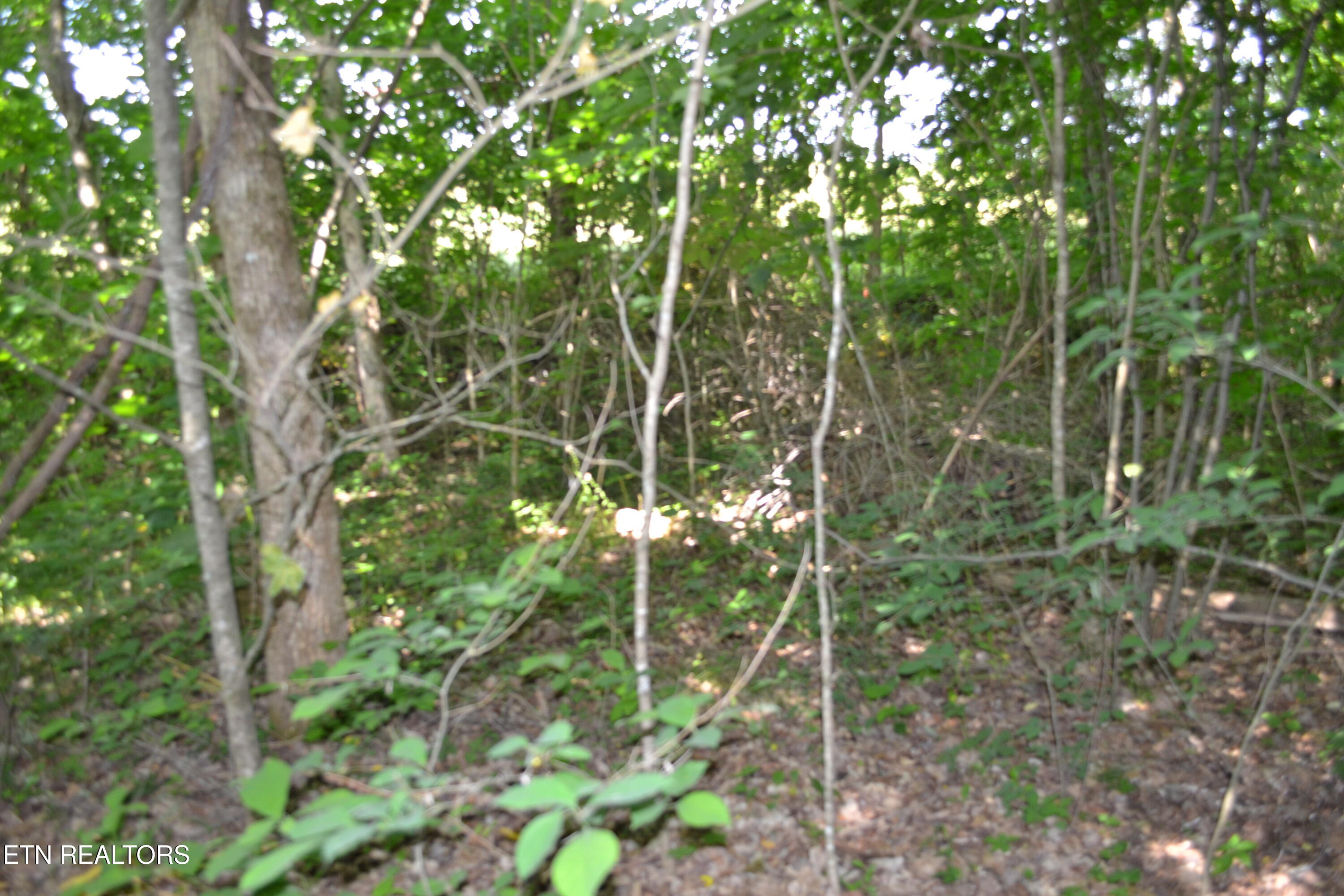 5AC Dynamite Lane Livingston TN 38570