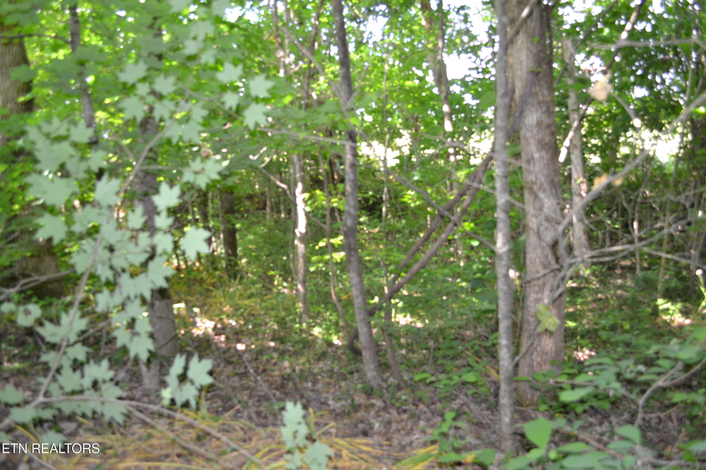 5AC Dynamite Lane Livingston TN 38570