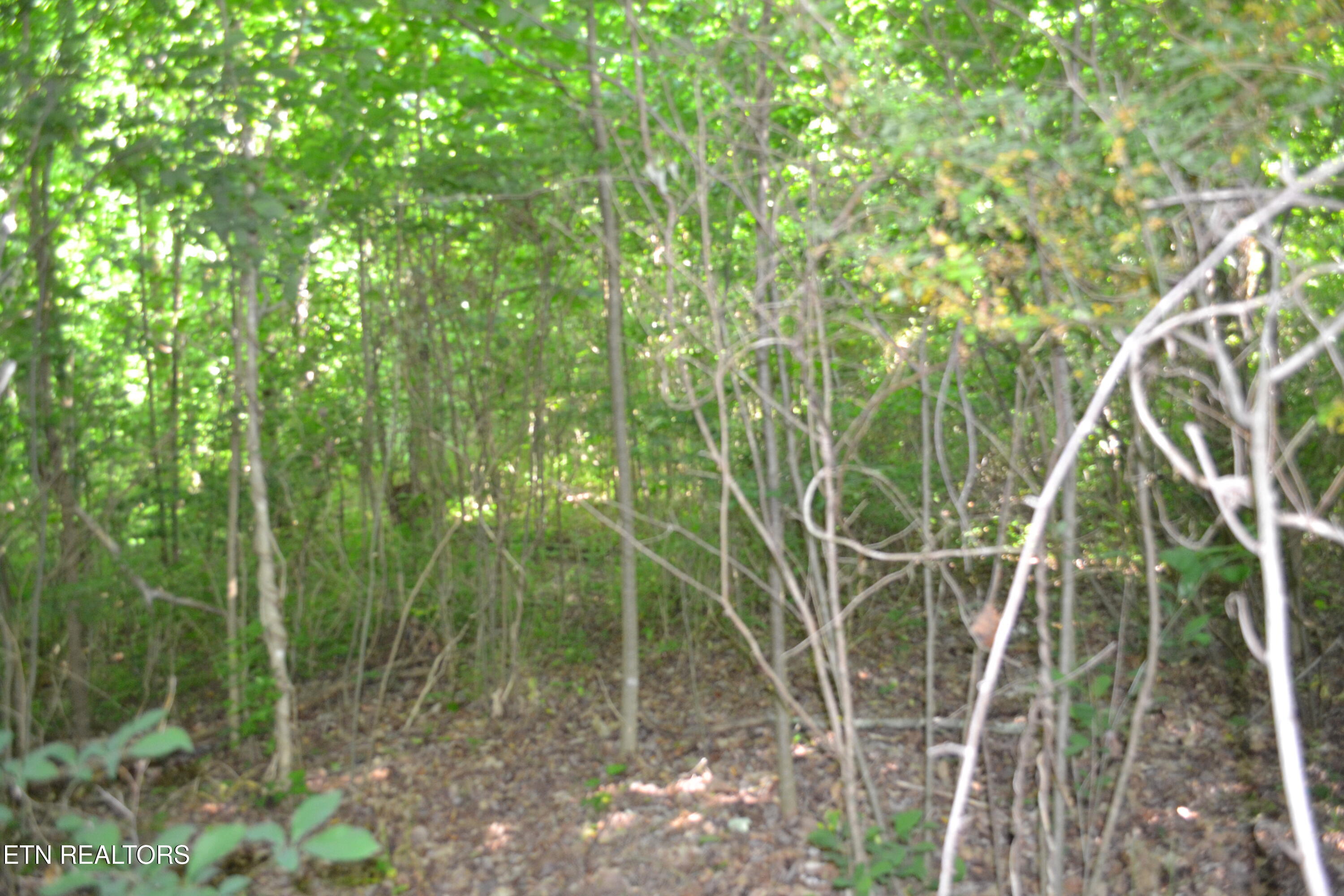 5AC Dynamite Lane Livingston TN 38570