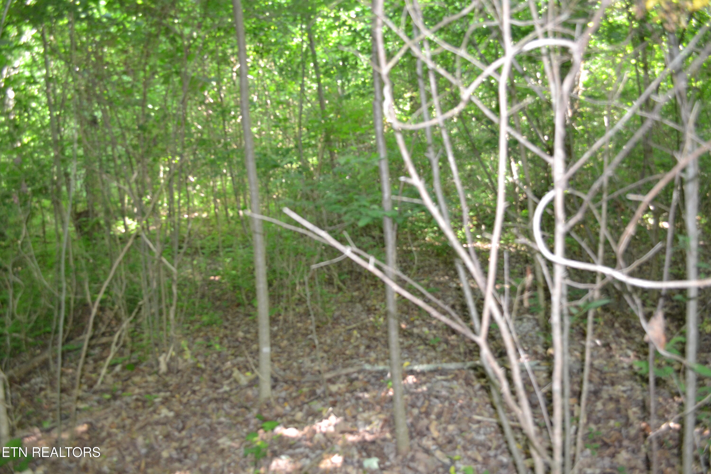 5AC Dynamite Lane Livingston TN 38570