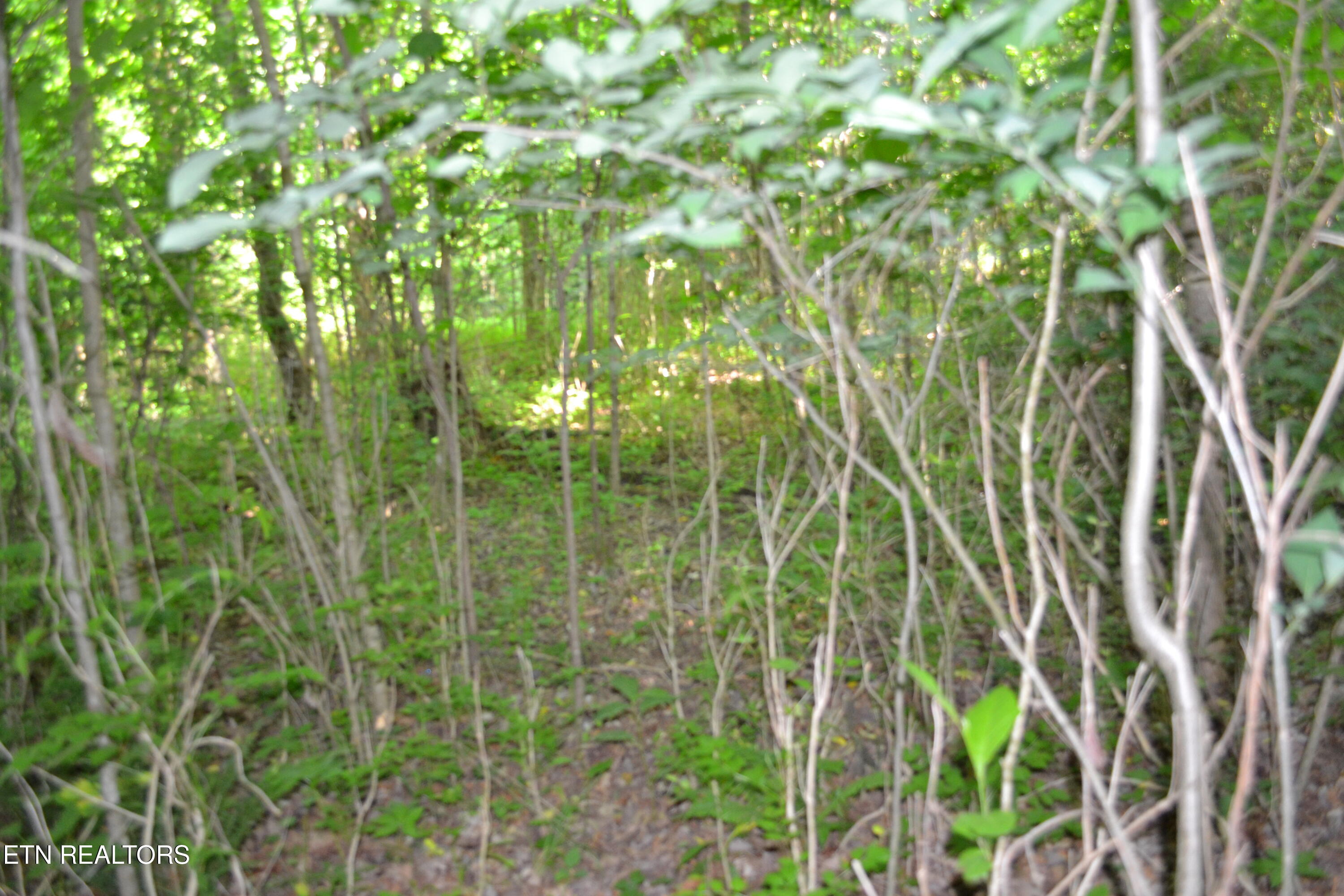 5AC Dynamite Lane Livingston TN 38570