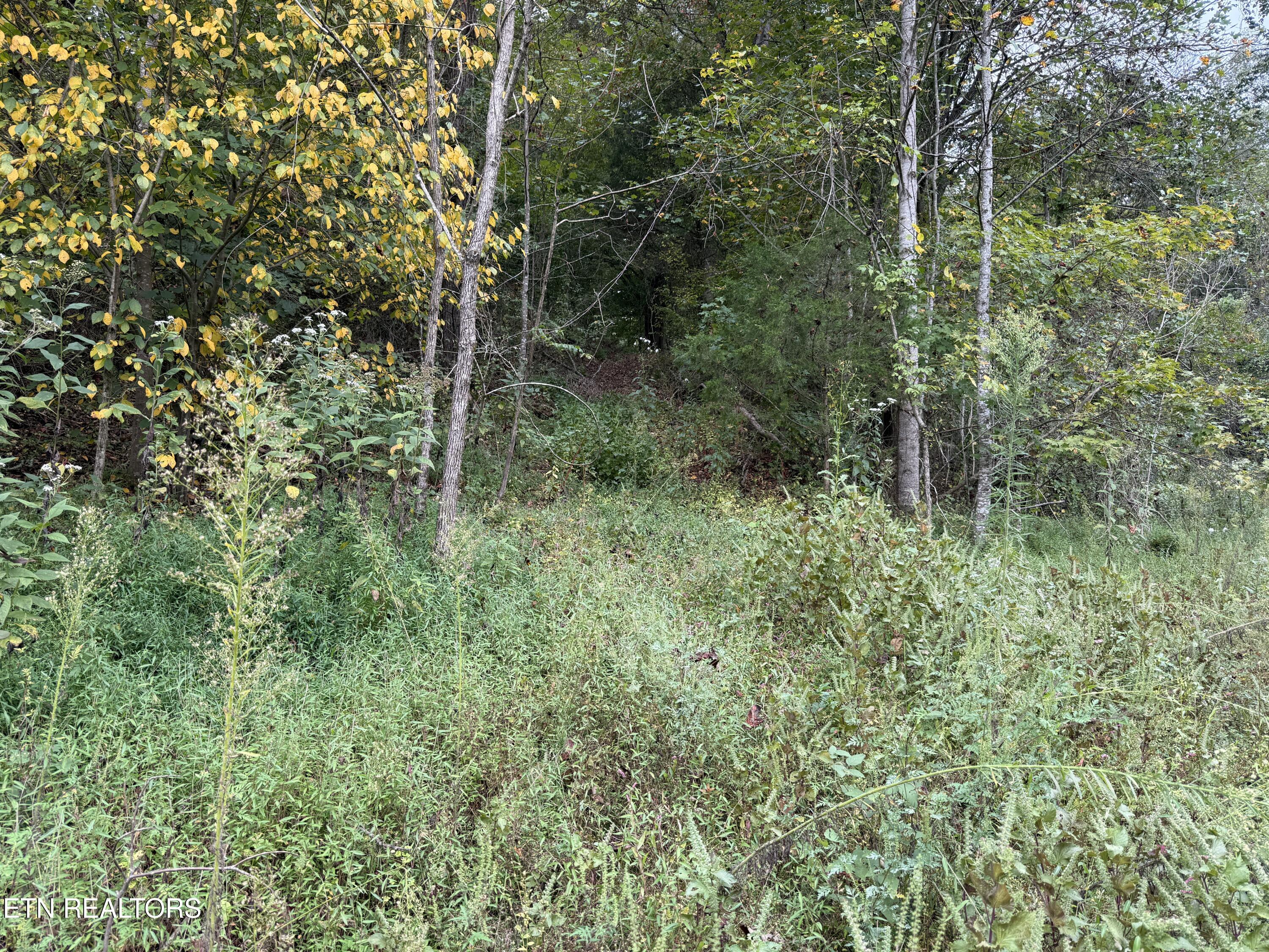 9529 Pedigo Road Powell TN 37849