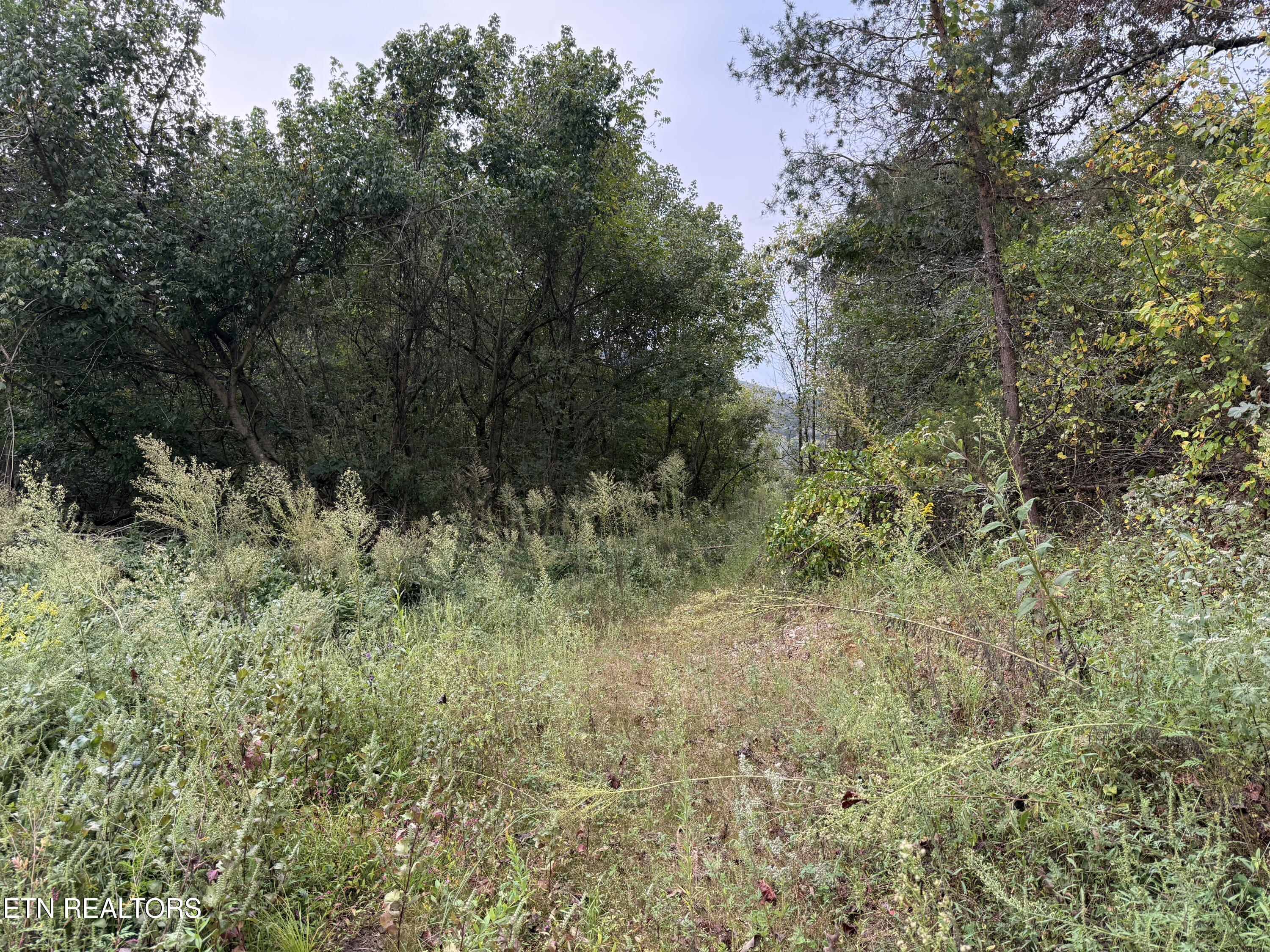 9529 Pedigo Road Powell TN 37849