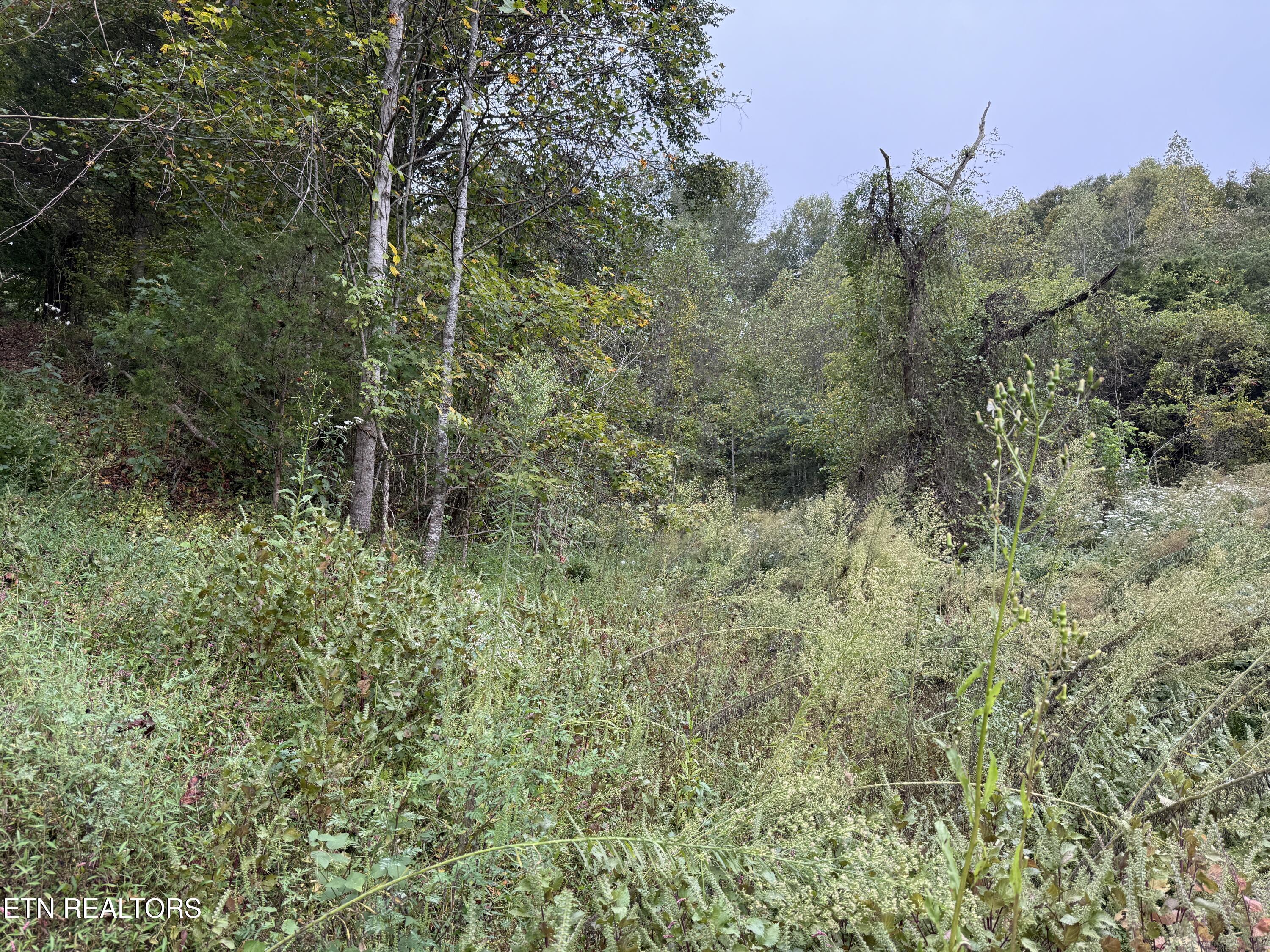 9529 Pedigo Road Powell TN 37849