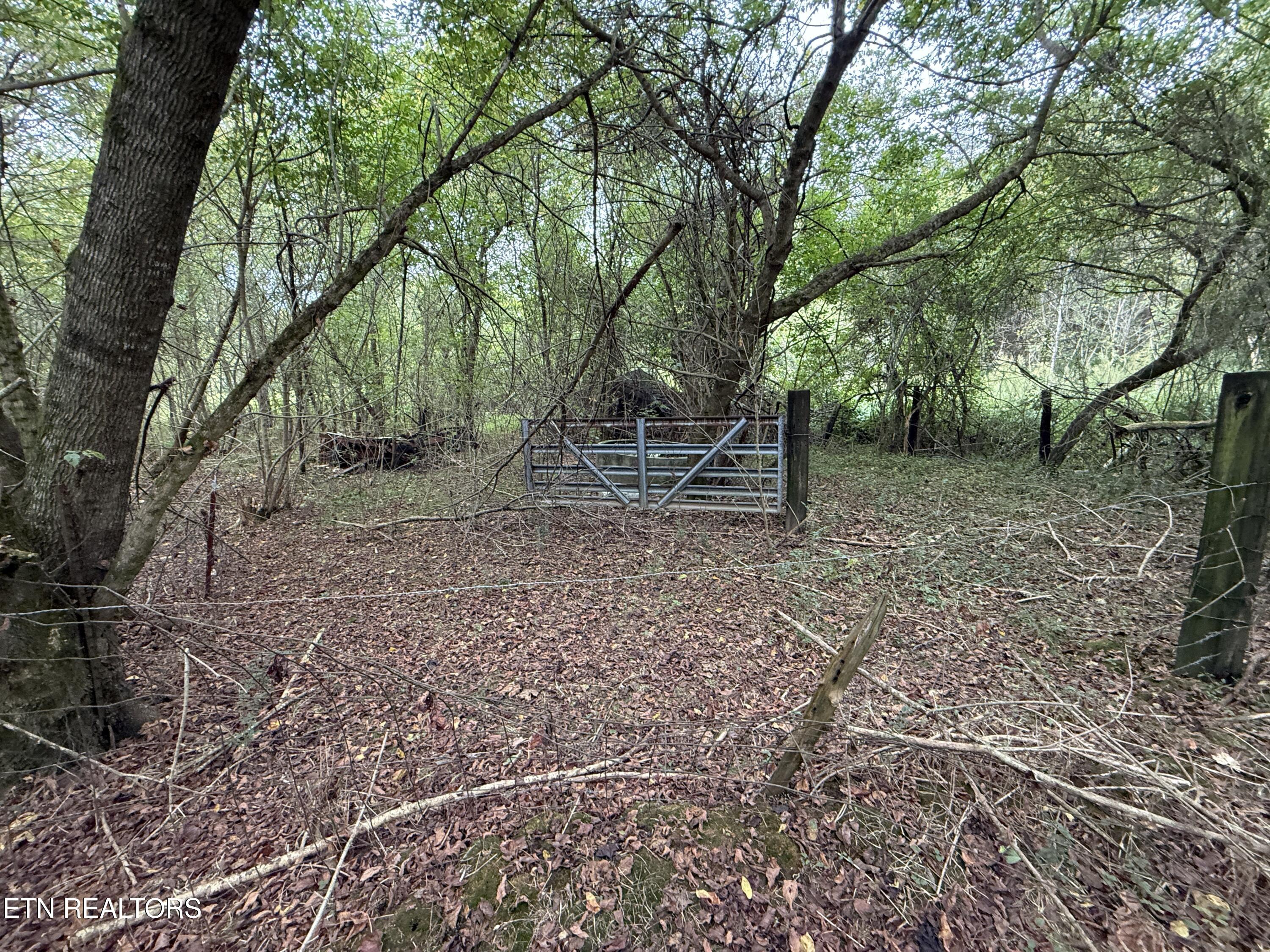 9529 Pedigo Road Powell TN 37849