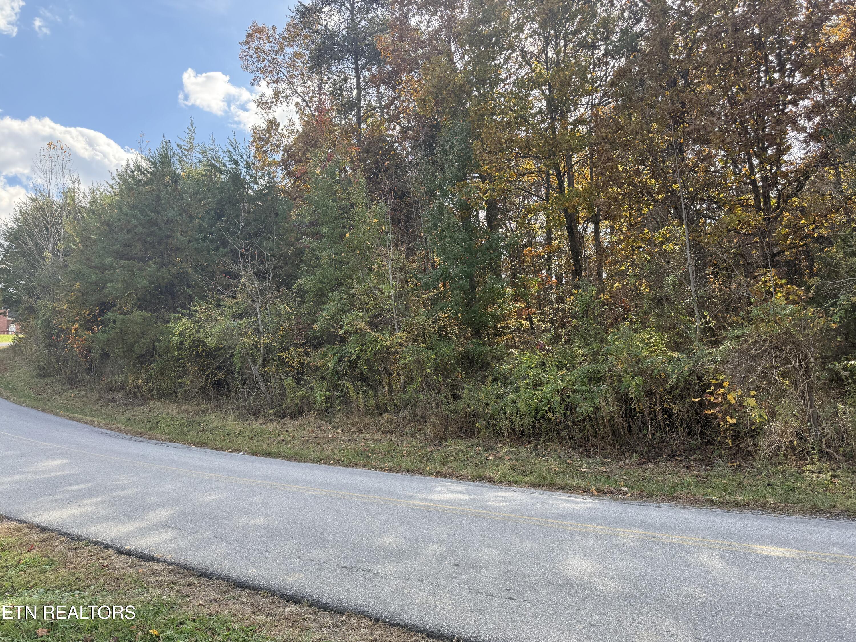 919 Nina Delozier Road Maryville TN 37804