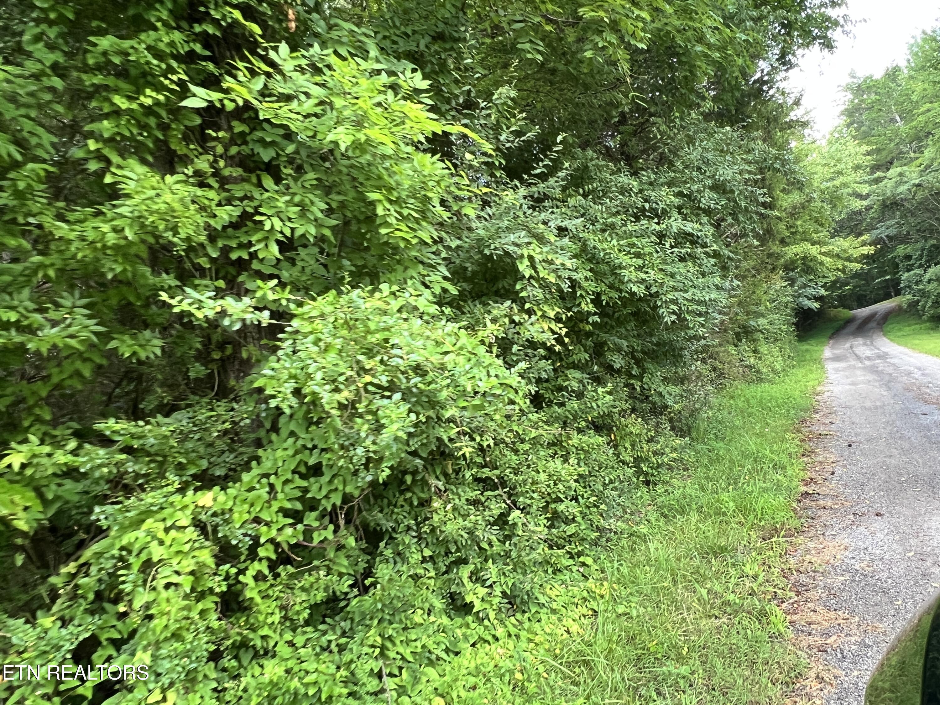 Lot 6 Willie Prigmore Road Decatur TN 37322