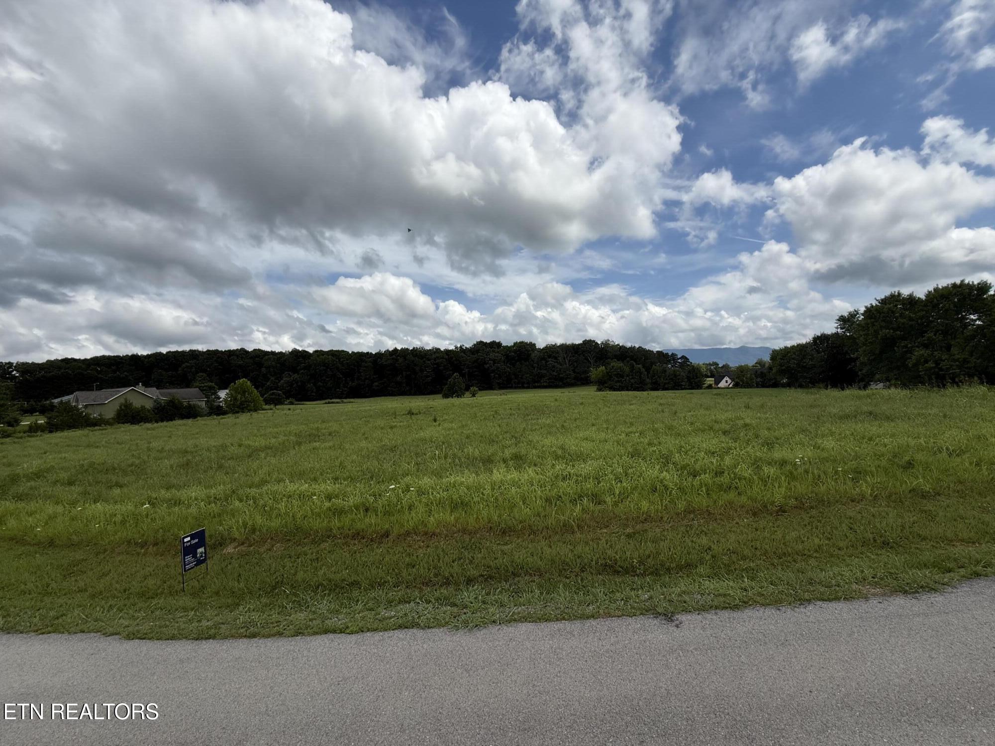 Lot 4 Westfield Way Seymour TN 37865