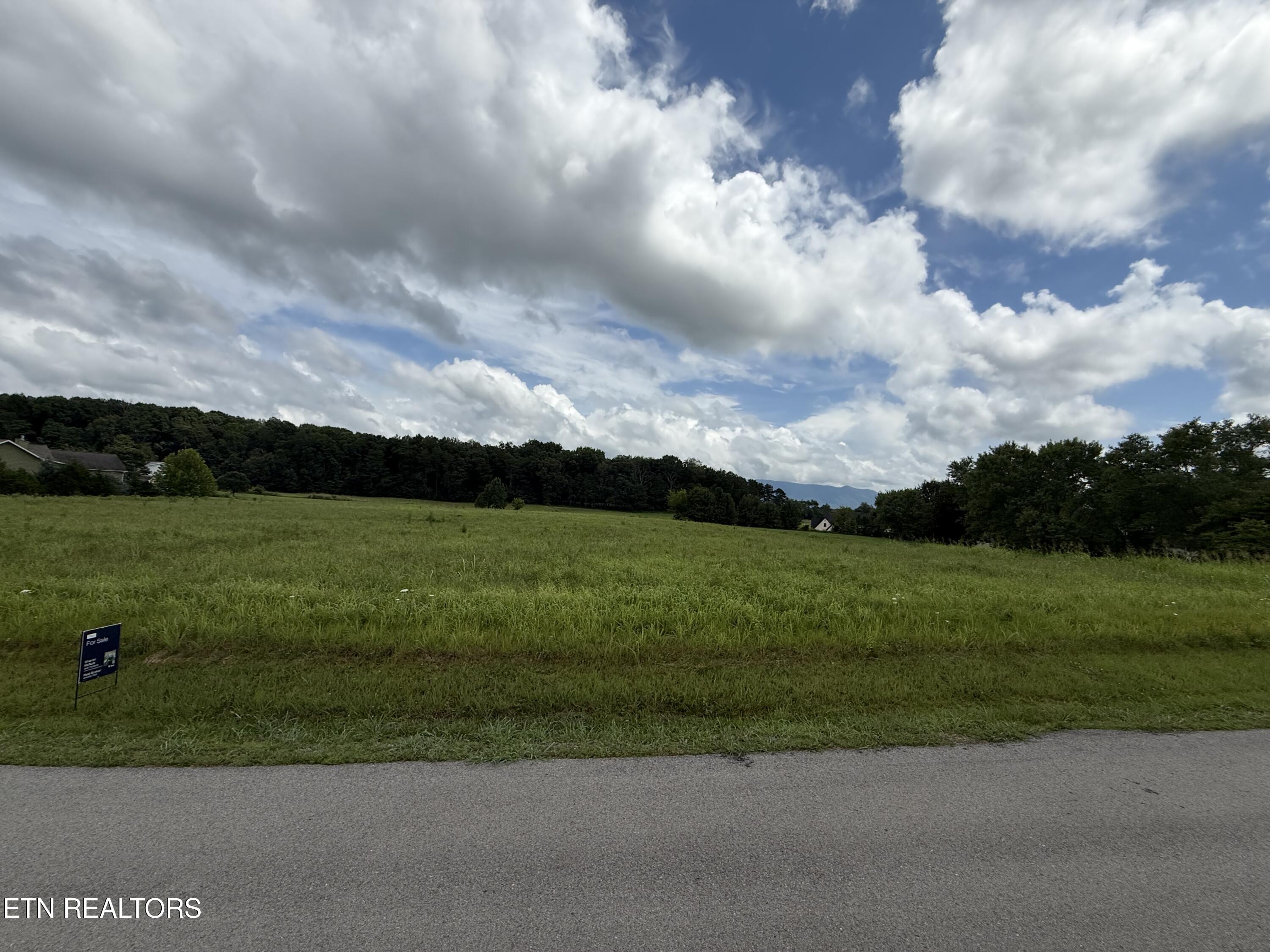 Lot 4 Westfield Way Seymour TN 37865
