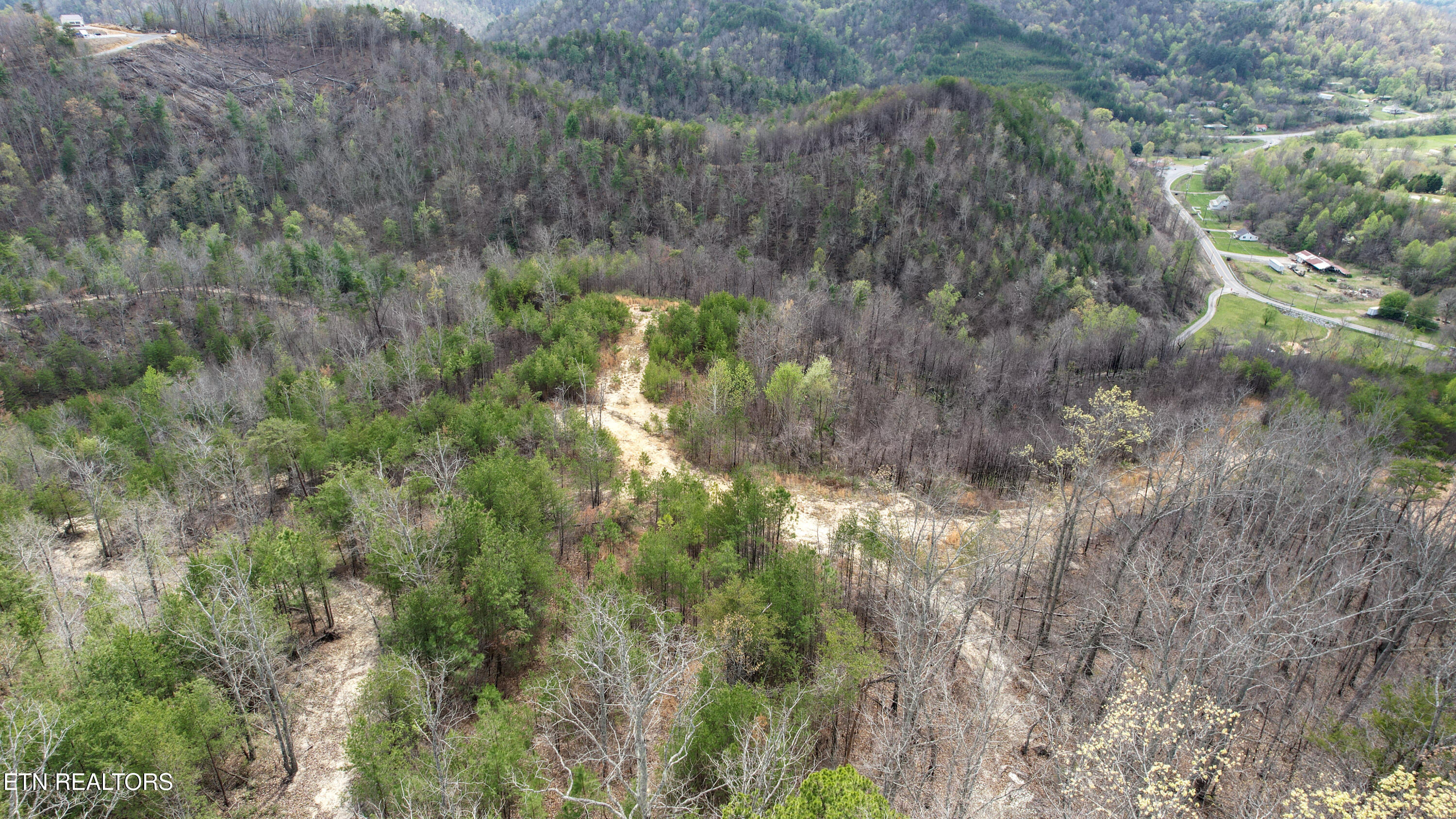 39.02 Ac Lake Heights Road Tellico Plains TN 37385