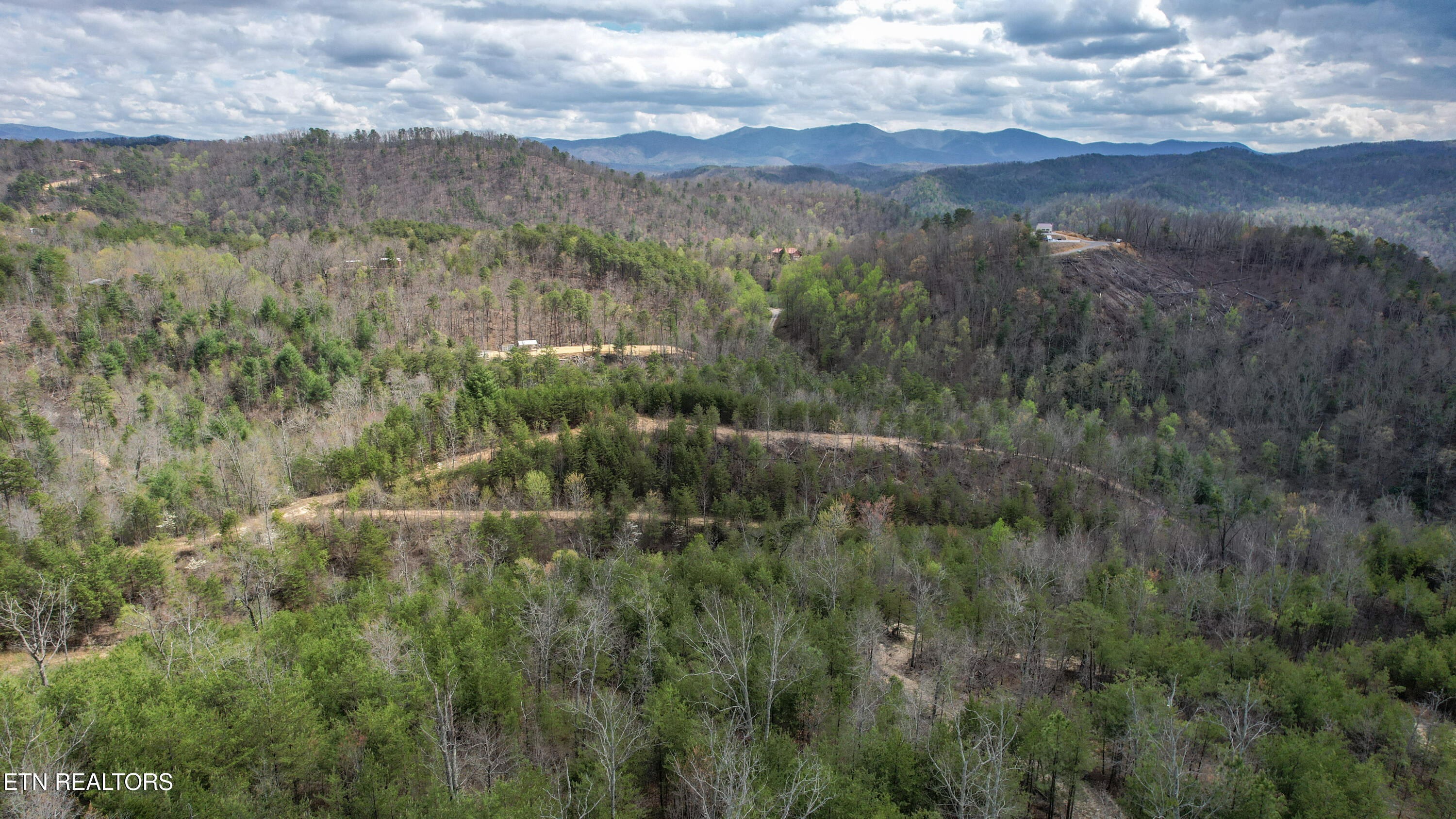 39.02 Ac Lake Heights Road Tellico Plains TN 37385