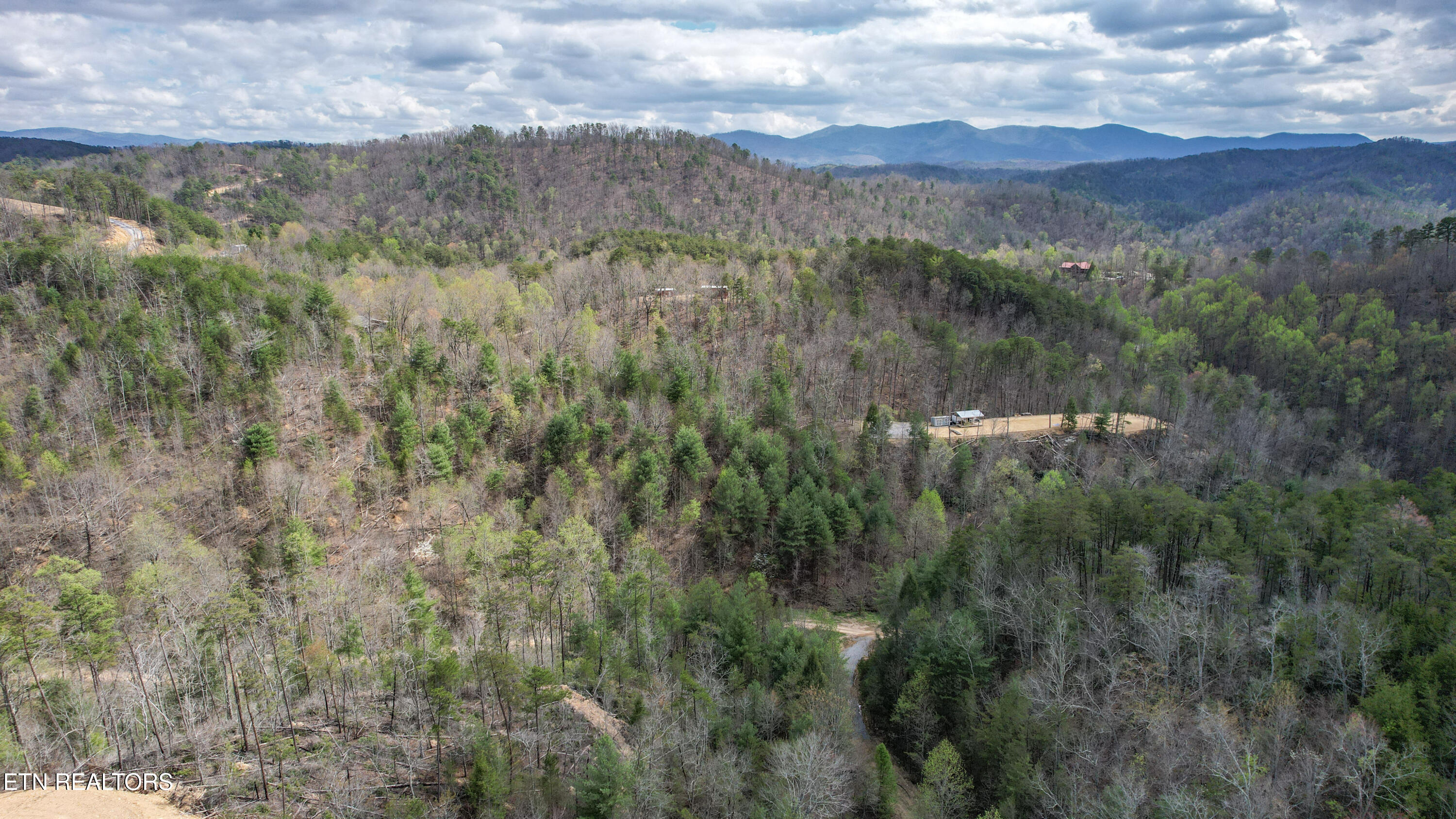 39.02 Ac Lake Heights Road Tellico Plains TN 37385