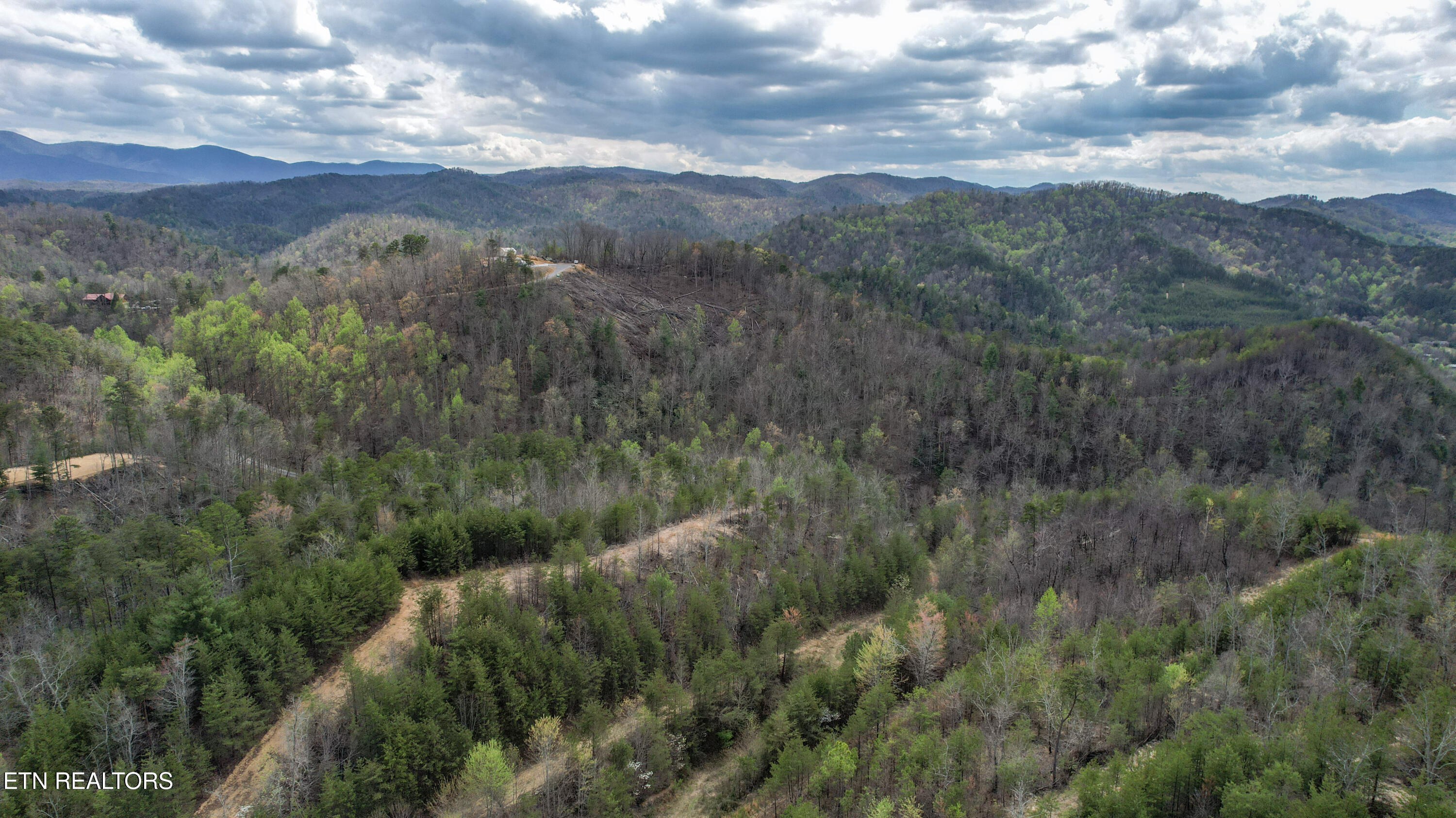 39.02 Ac Lake Heights Road Tellico Plains TN 37385