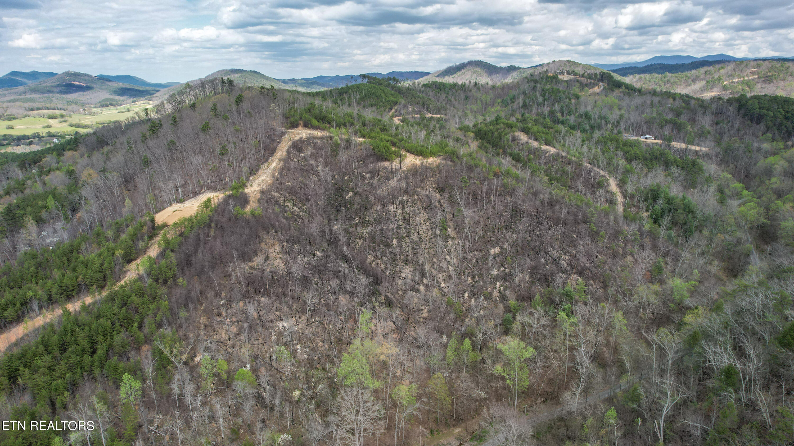 39.02 Ac Lake Heights Road Tellico Plains TN 37385