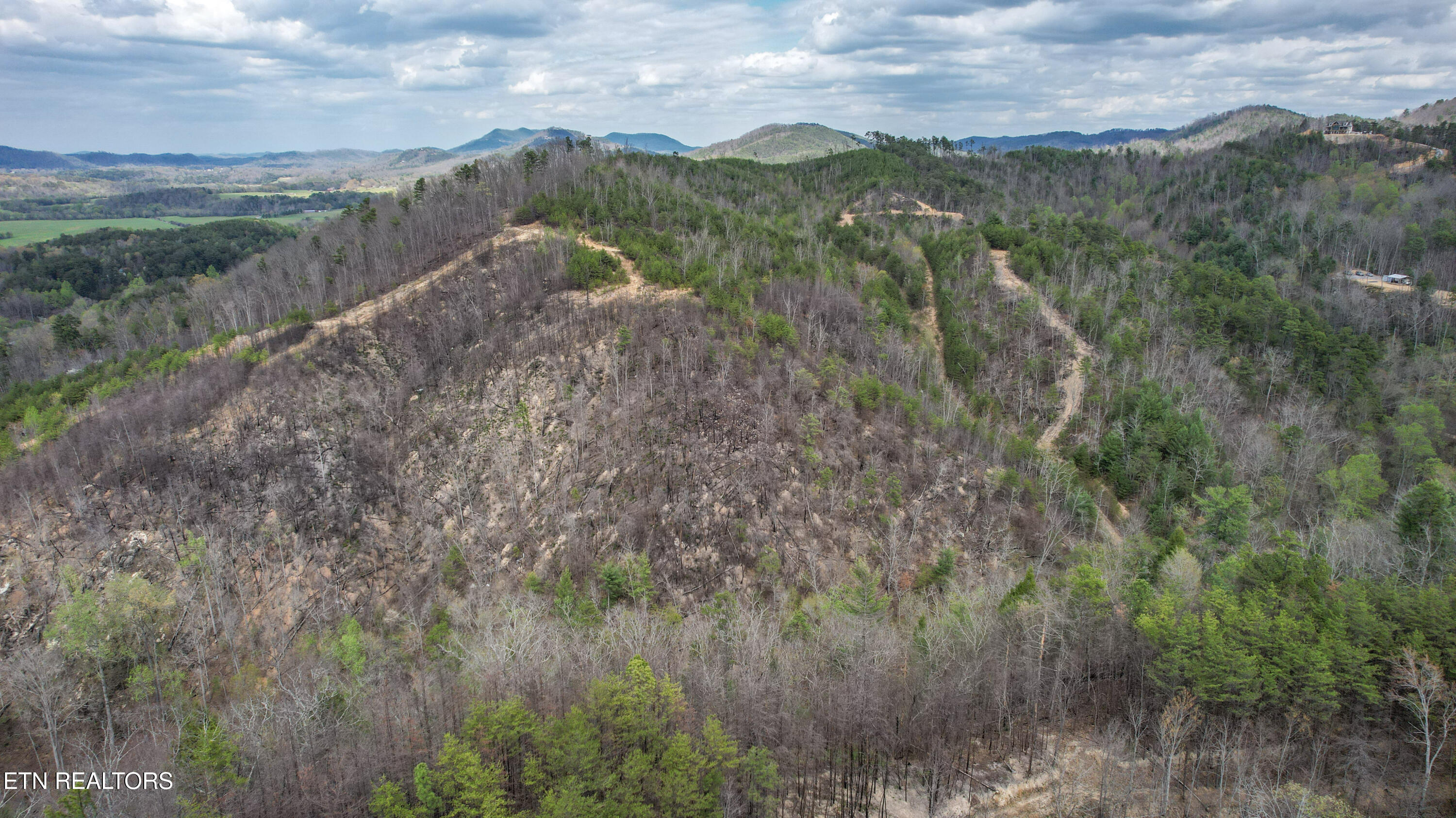 39.02 Ac Lake Heights Road Tellico Plains TN 37385