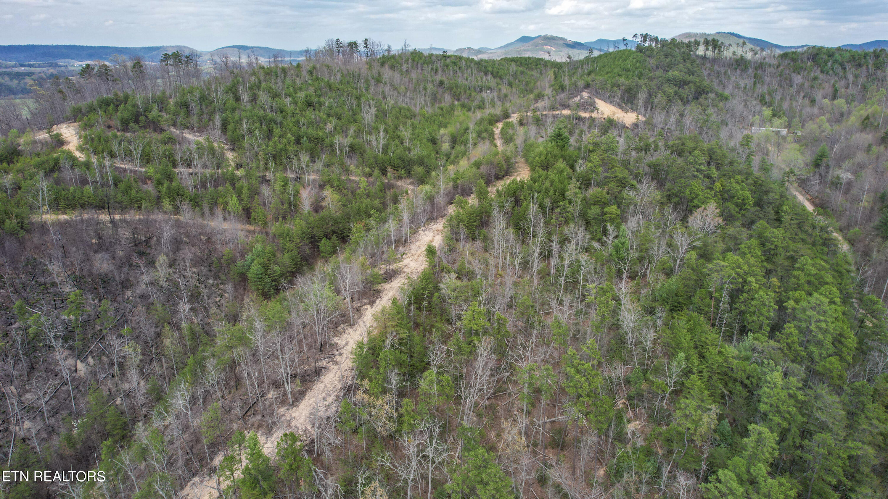 39.02 Ac Lake Heights Road Tellico Plains TN 37385