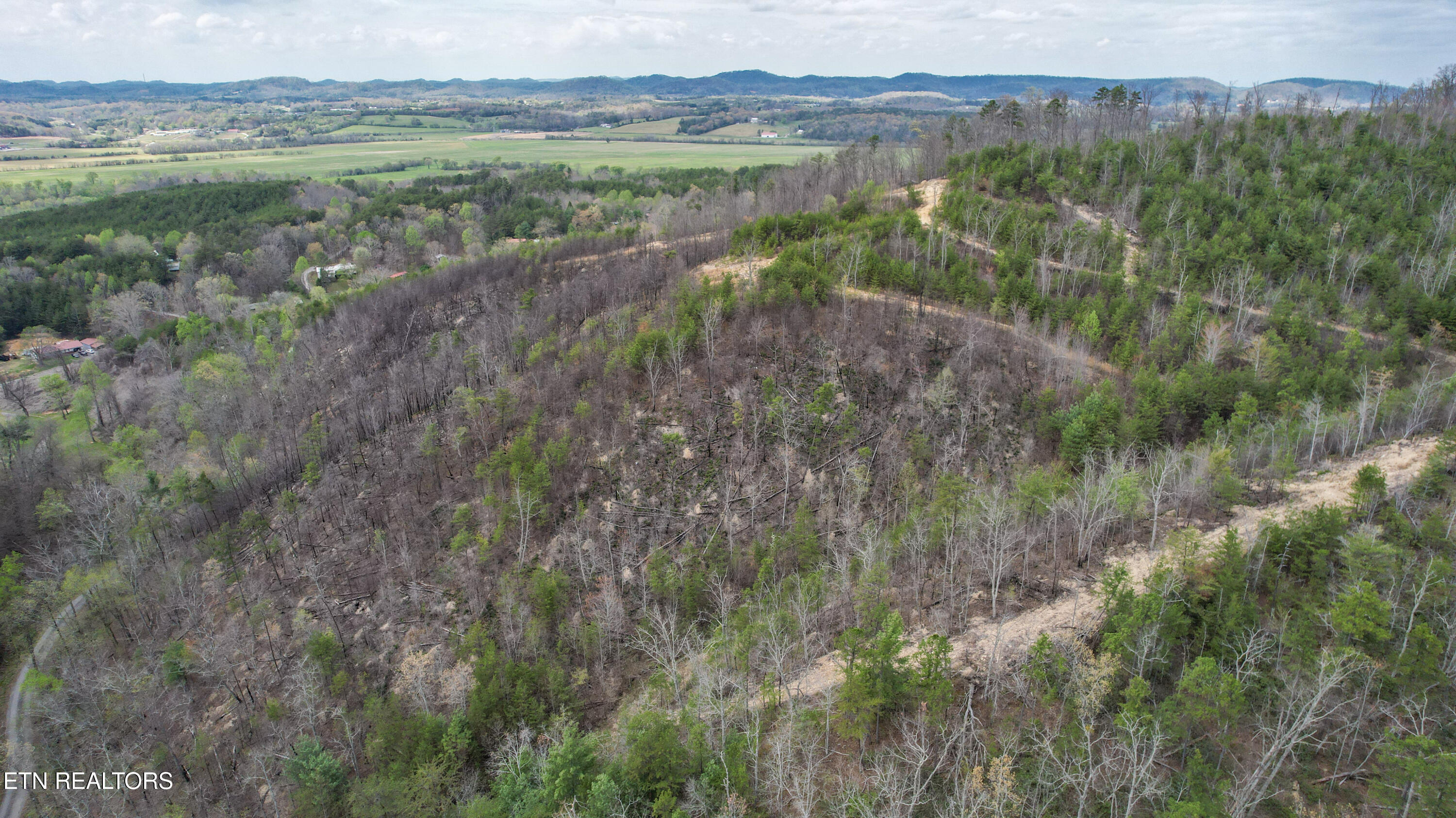 39.02 Ac Lake Heights Road Tellico Plains TN 37385