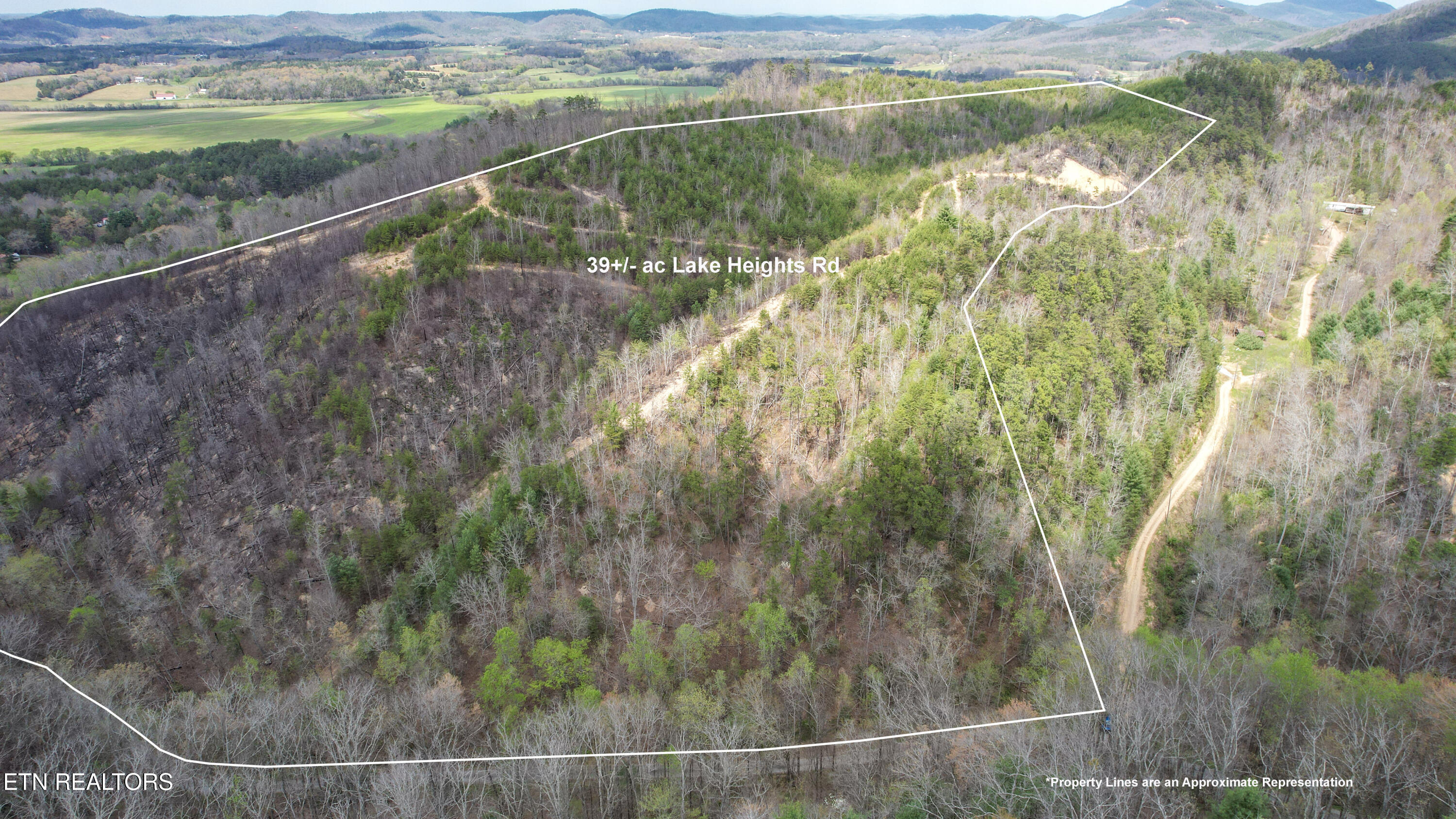 39.02 Ac Lake Heights Road Tellico Plains TN 37385