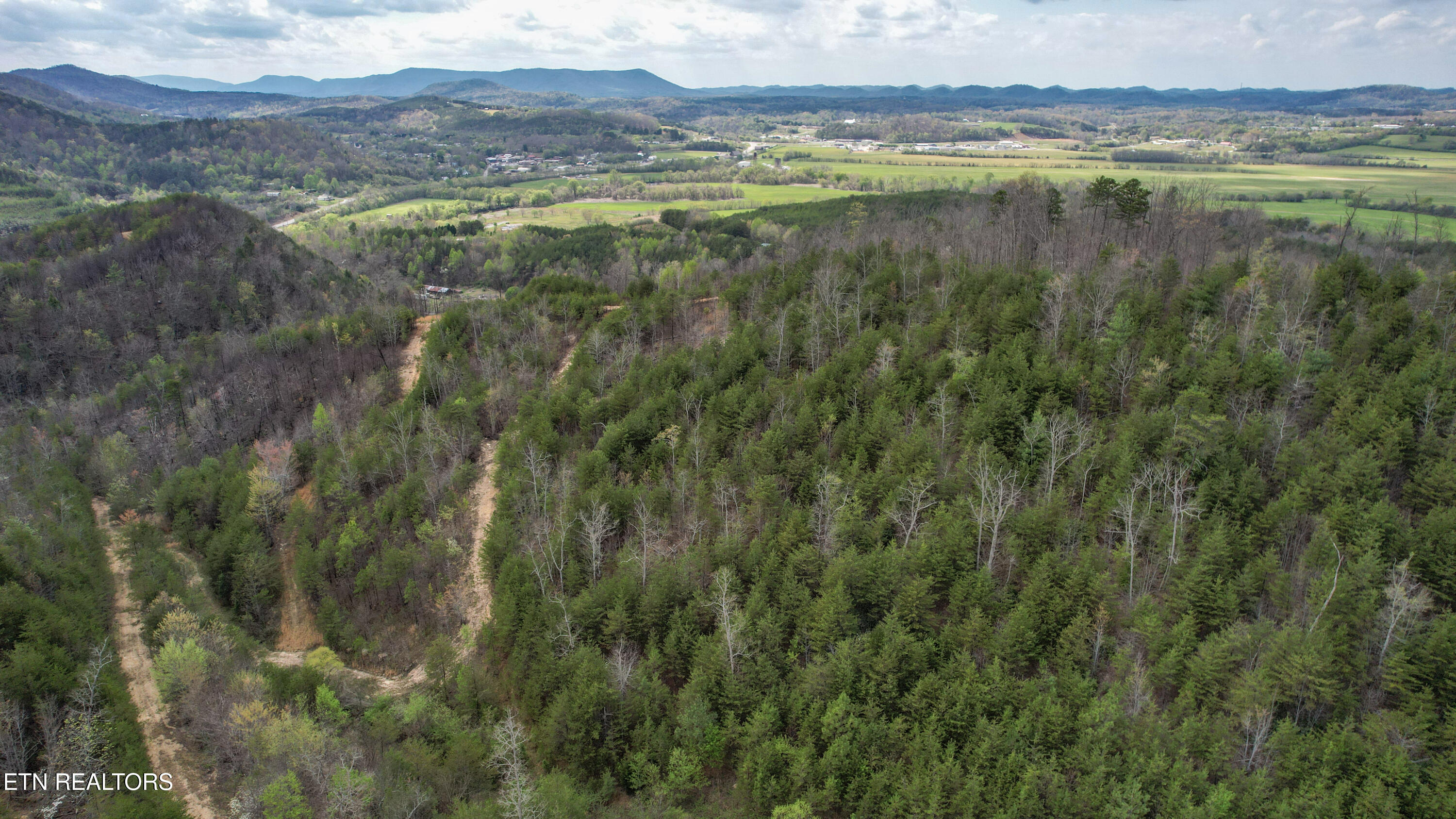 39.02 Ac Lake Heights Road Tellico Plains TN 37385