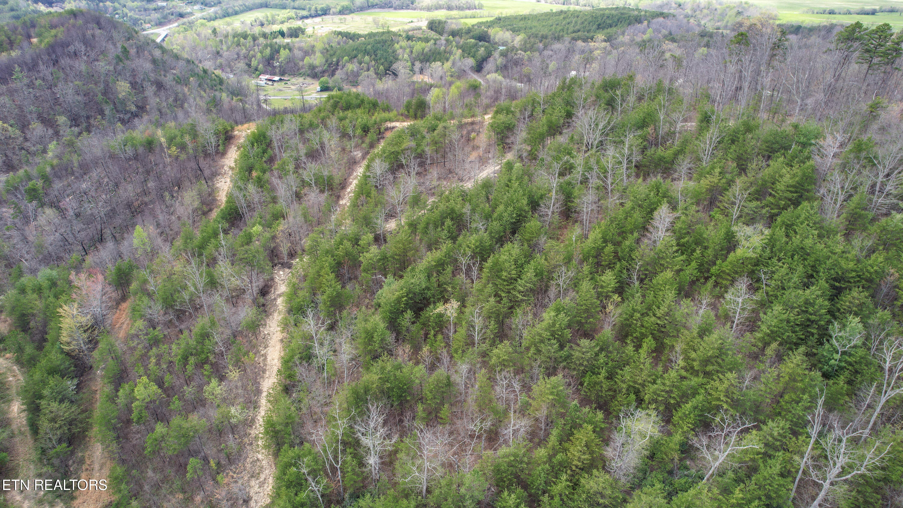 39.02 Ac Lake Heights Road Tellico Plains TN 37385