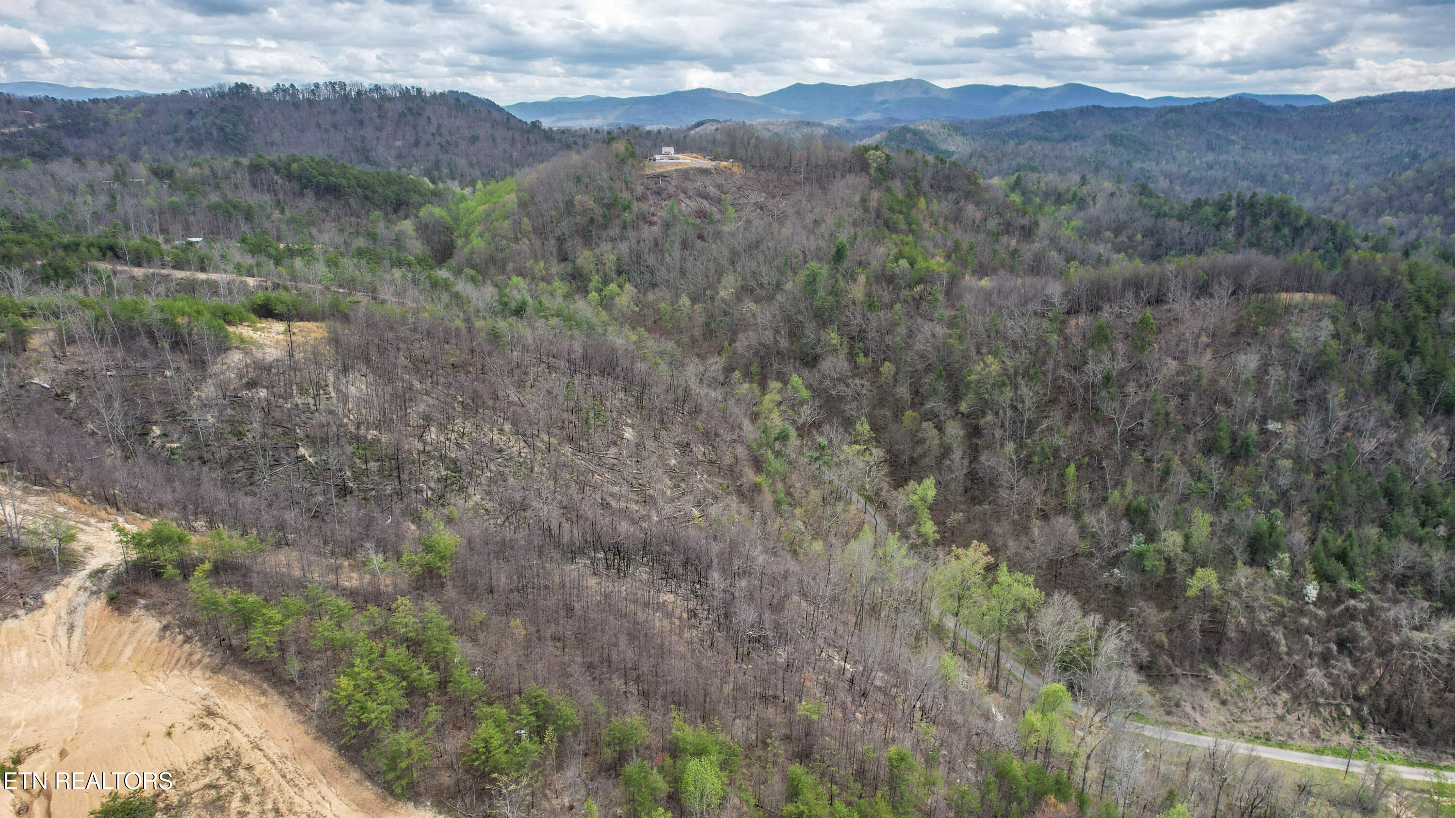 39.02 Ac Lake Heights Road Tellico Plains TN 37385