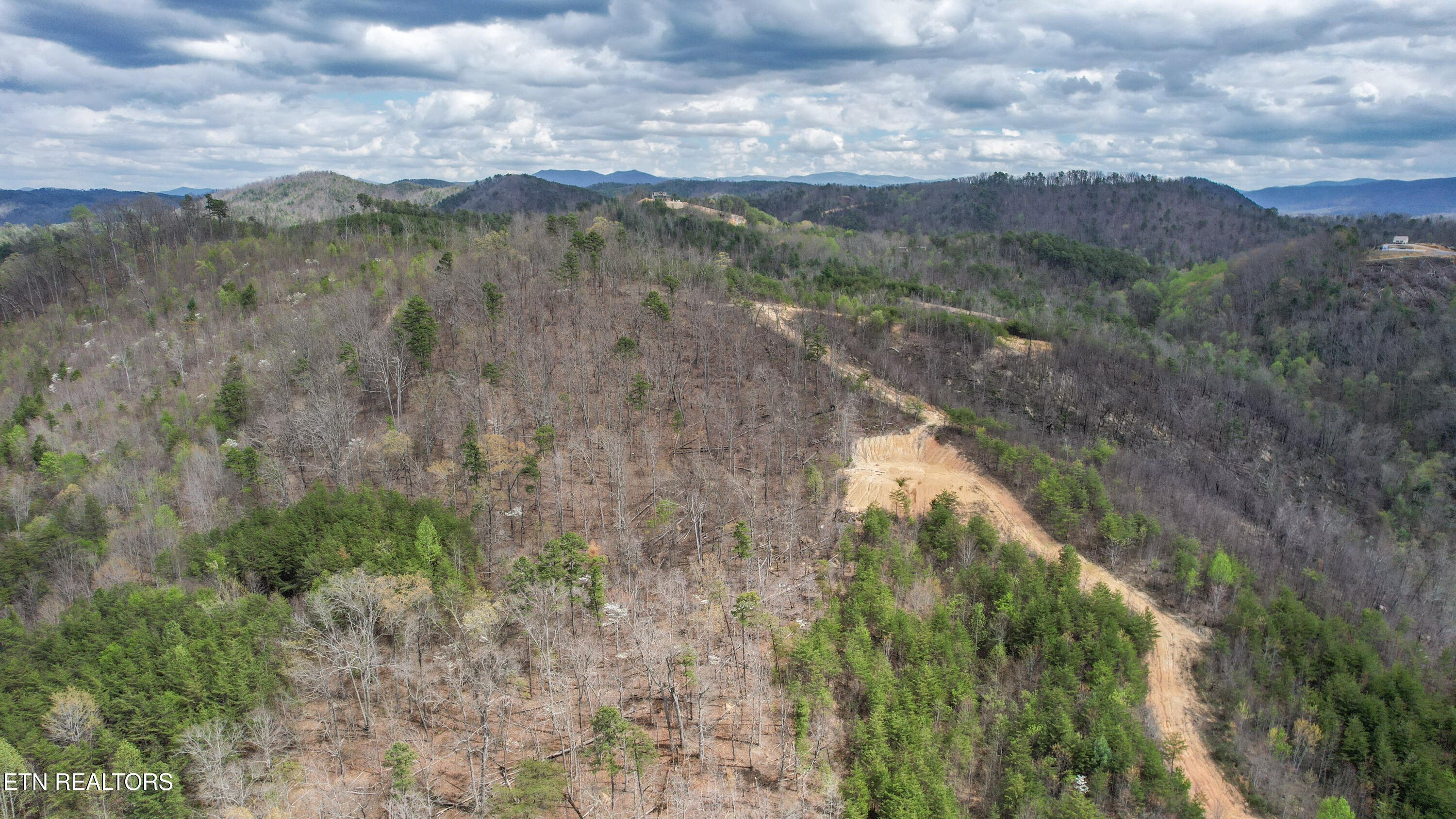 39.02 Ac Lake Heights Road Tellico Plains TN 37385