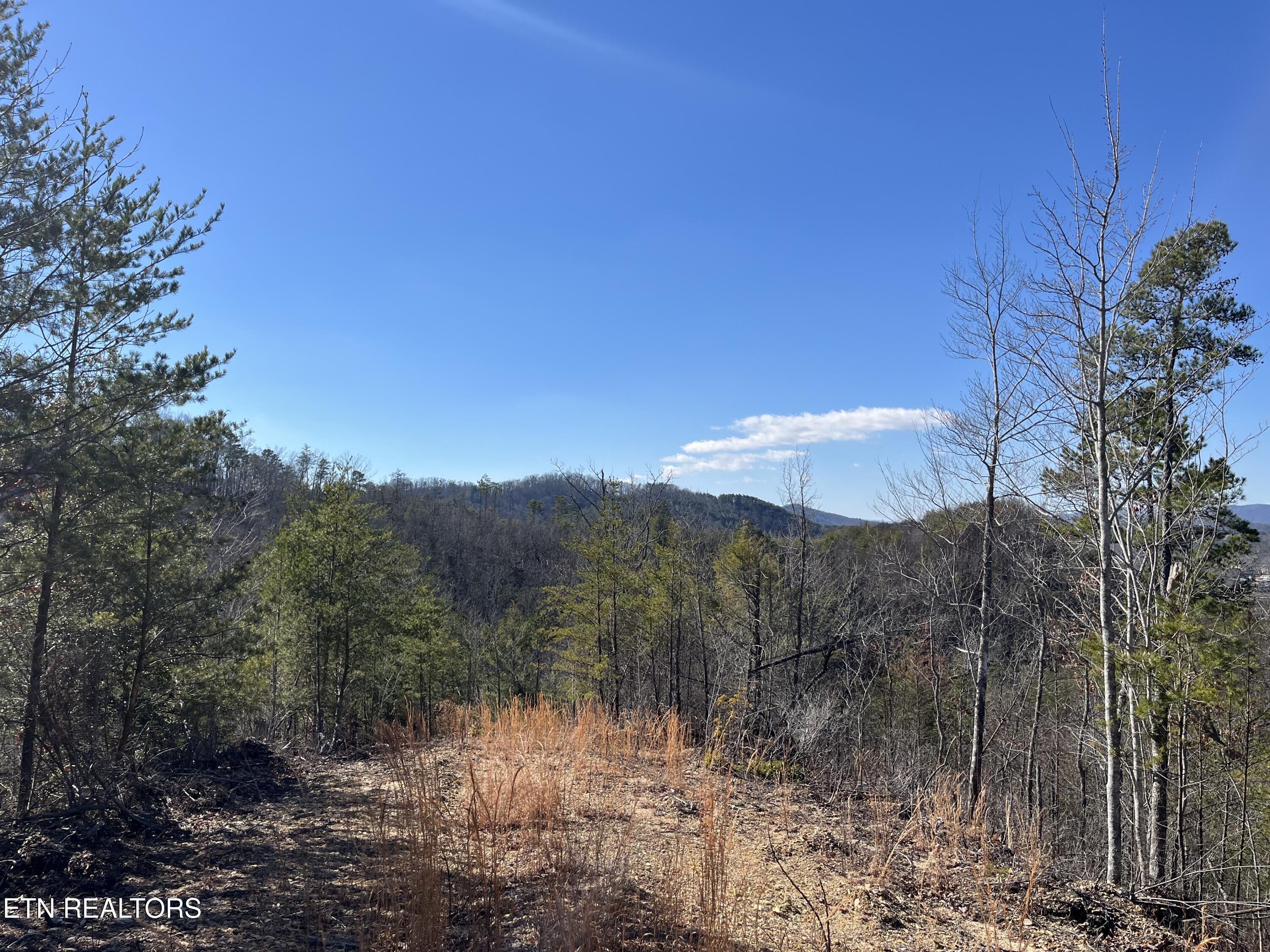 39.02 Ac Lake Heights Road Tellico Plains TN 37385