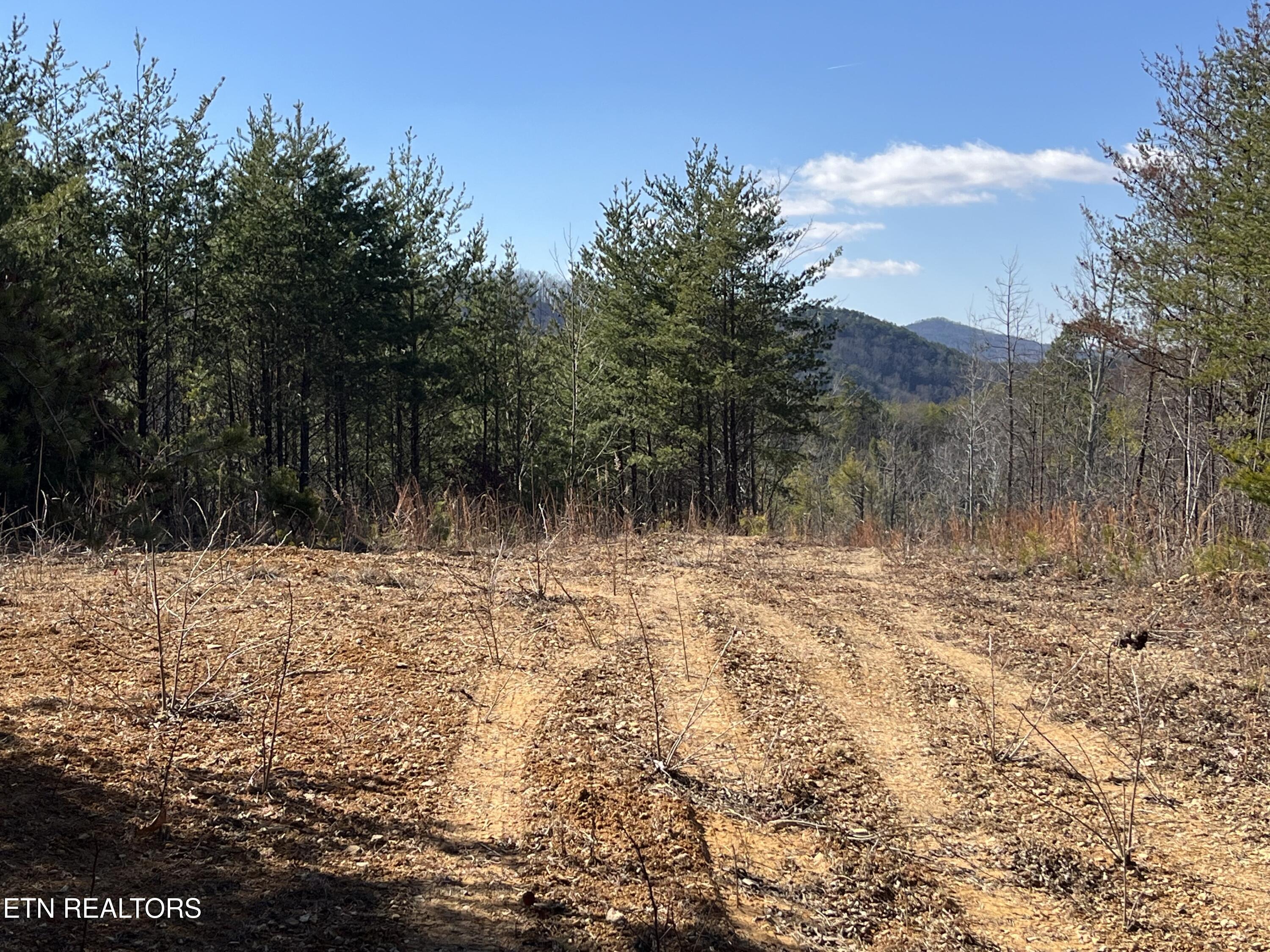 39.02 Ac Lake Heights Road Tellico Plains TN 37385
