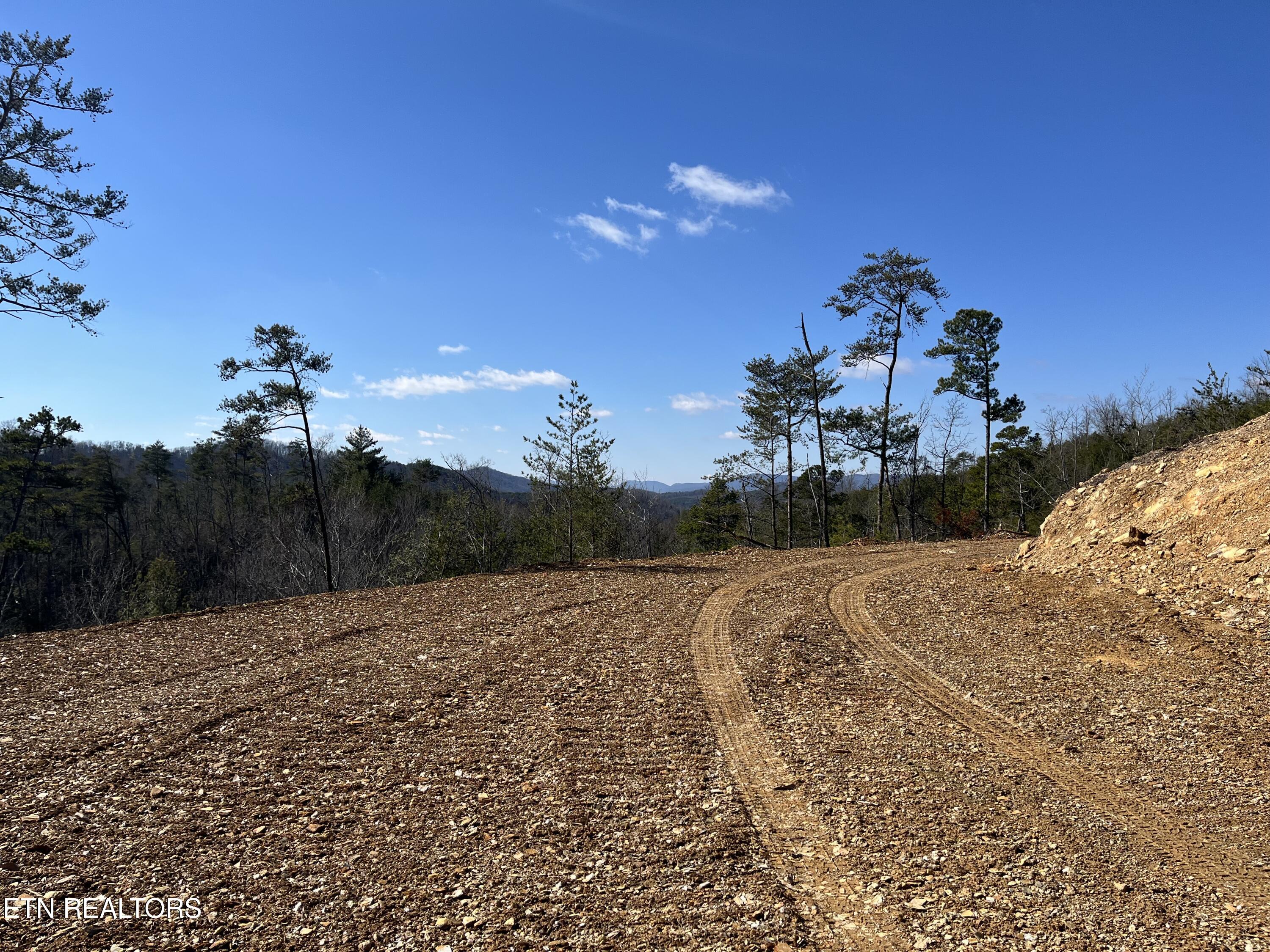 39.02 Ac Lake Heights Road Tellico Plains TN 37385