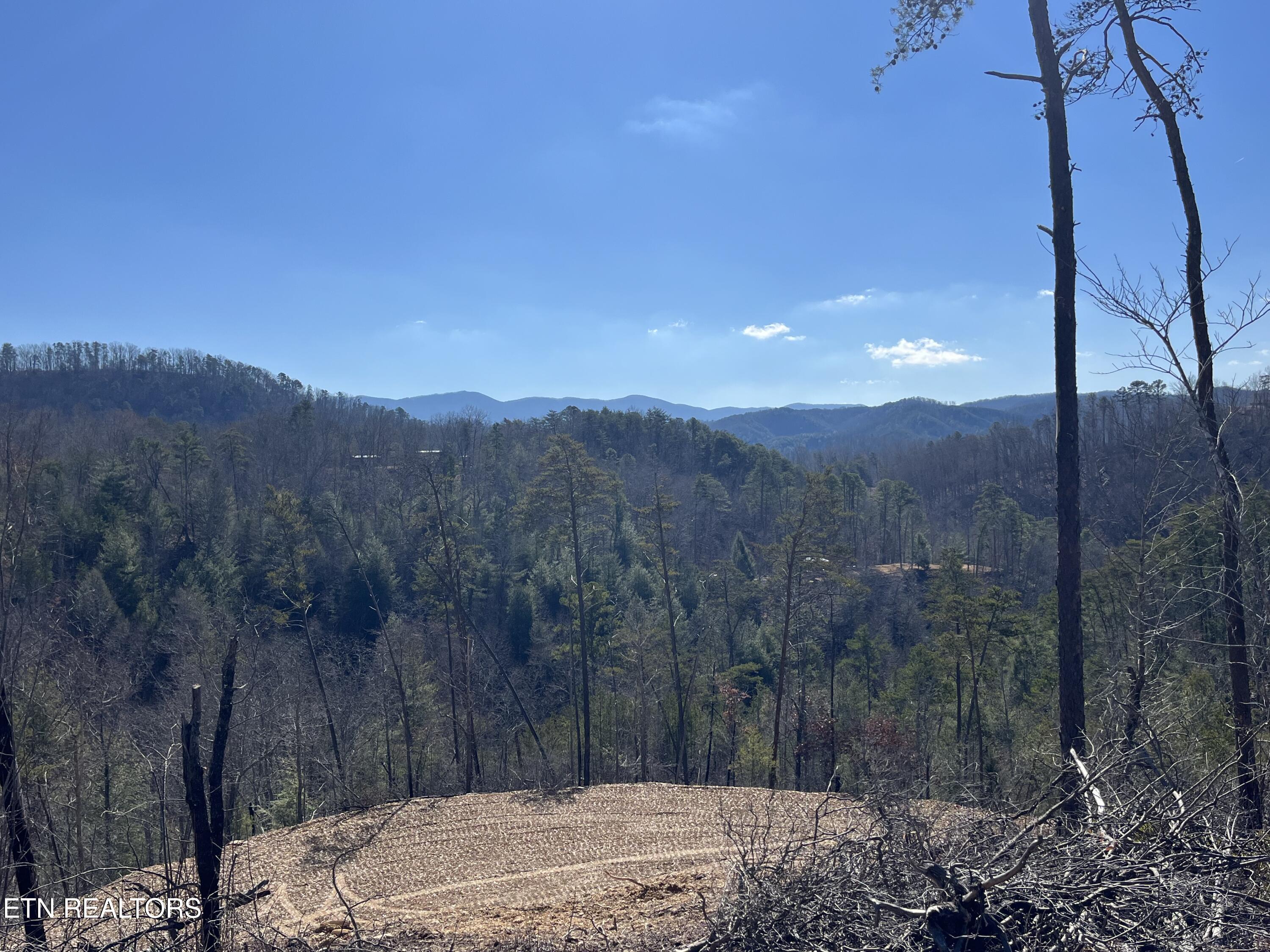 39.02 Ac Lake Heights Road Tellico Plains TN 37385