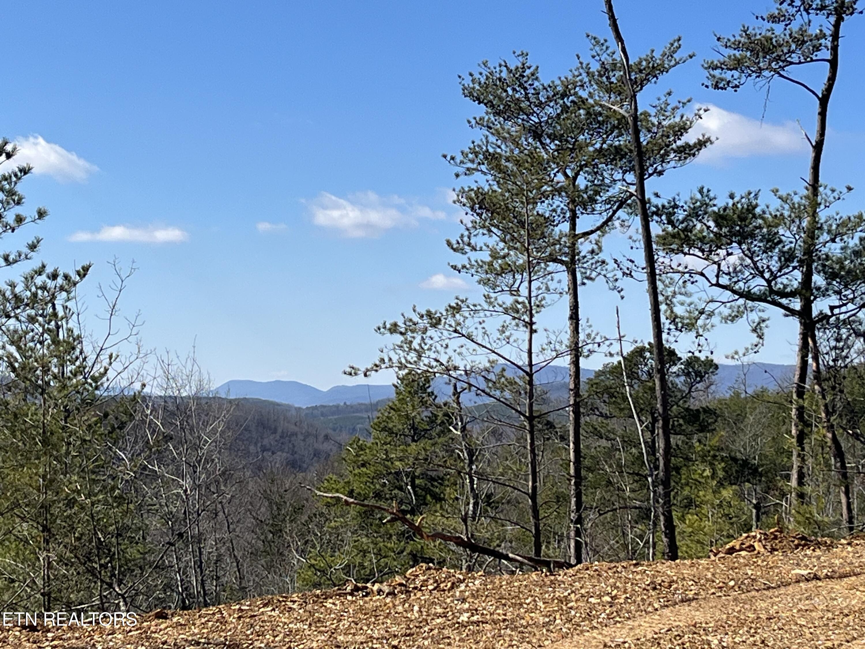 39.02 Ac Lake Heights Road Tellico Plains TN 37385