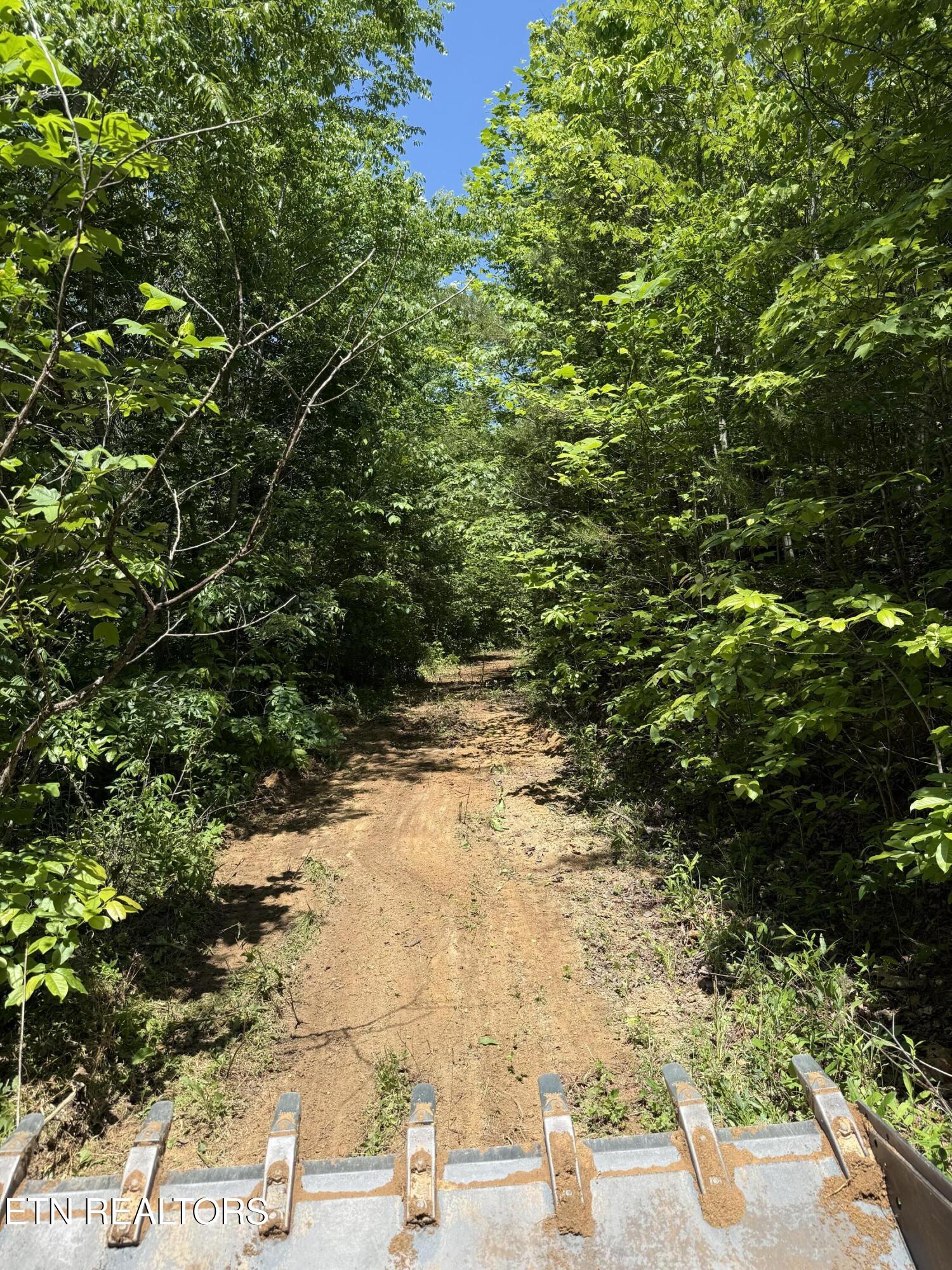 39.02 Ac Lake Heights Road Tellico Plains TN 37385
