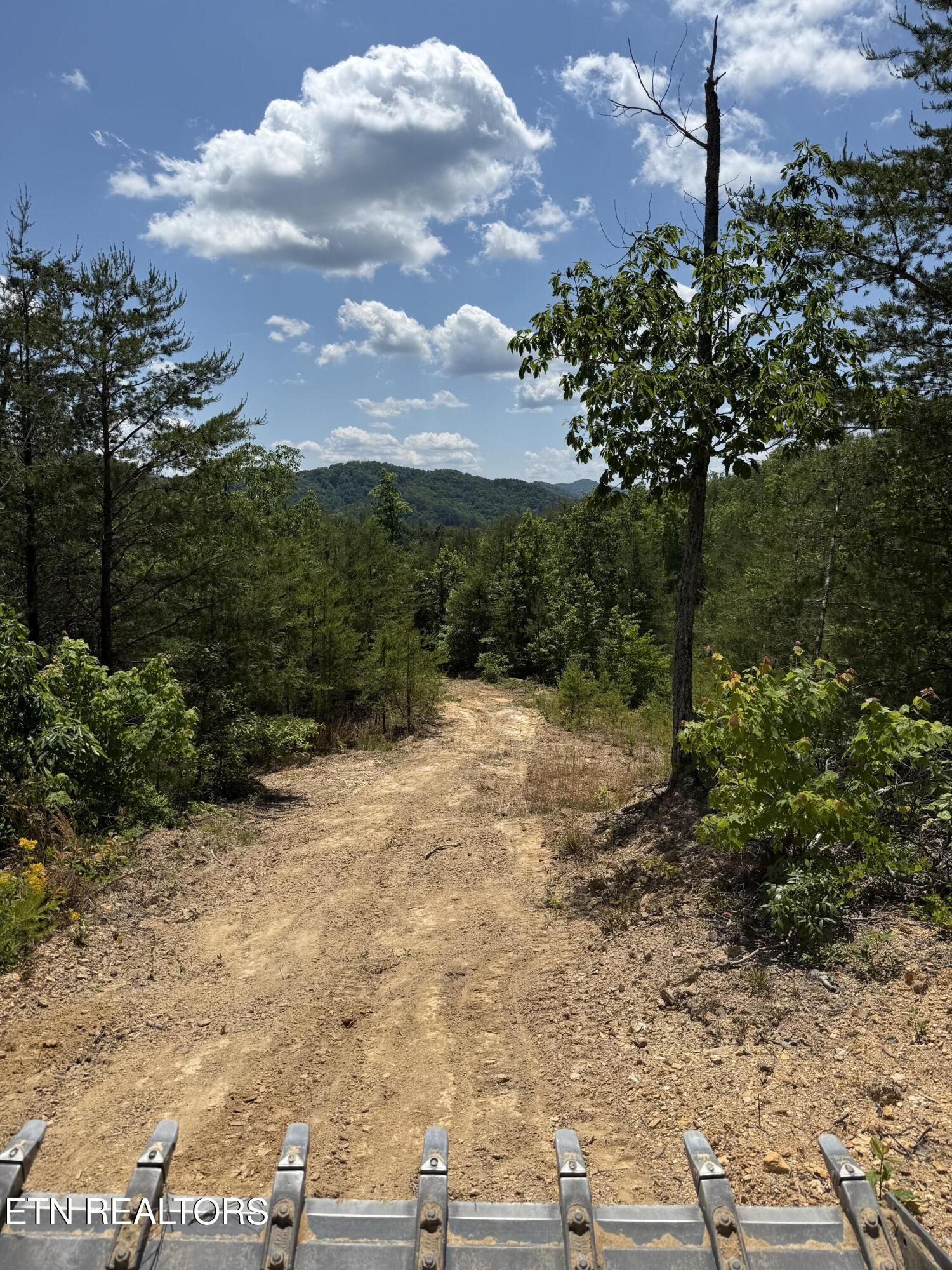 39.02 Ac Lake Heights Road Tellico Plains TN 37385