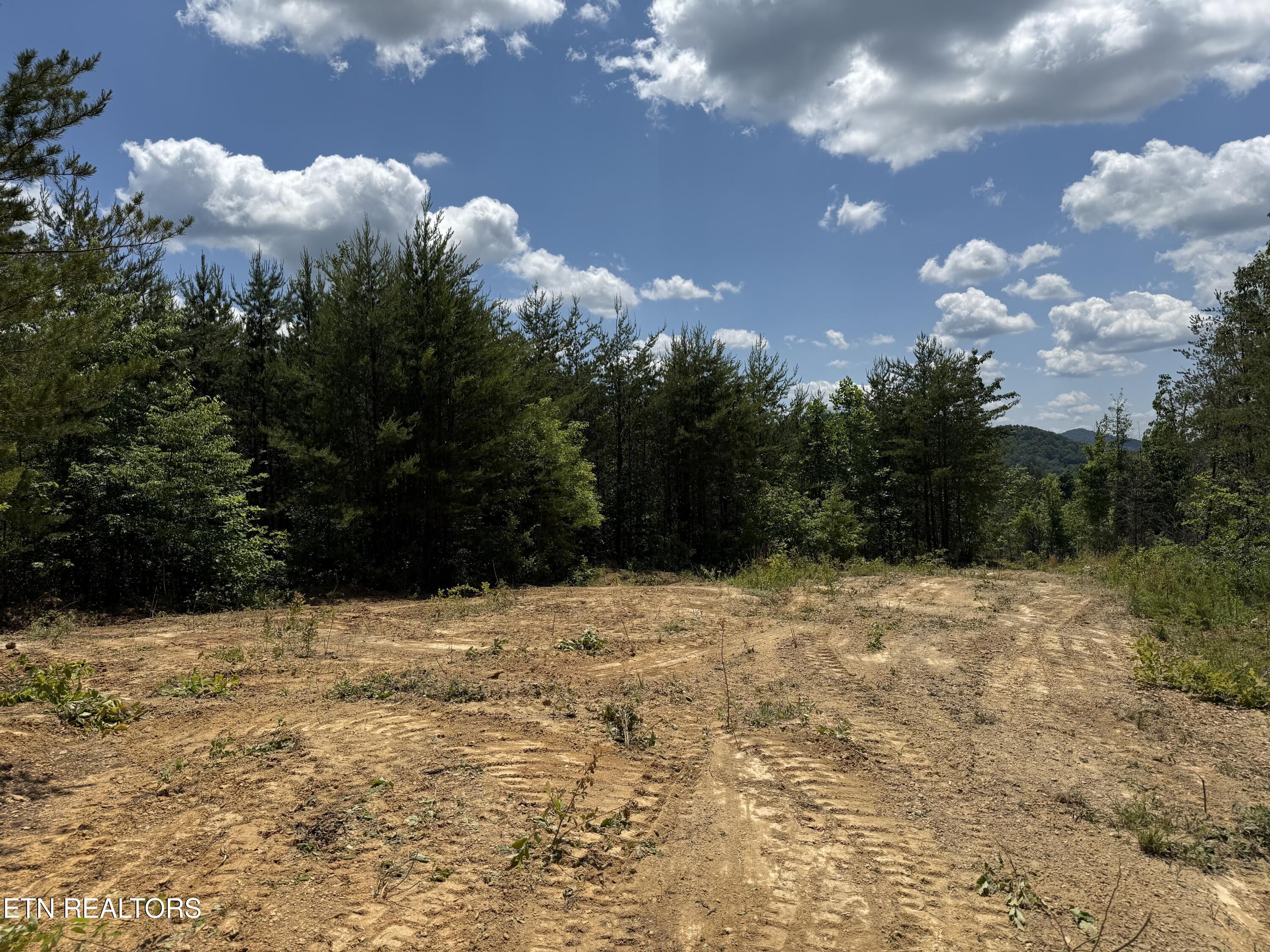 39.02 Ac Lake Heights Road Tellico Plains TN 37385