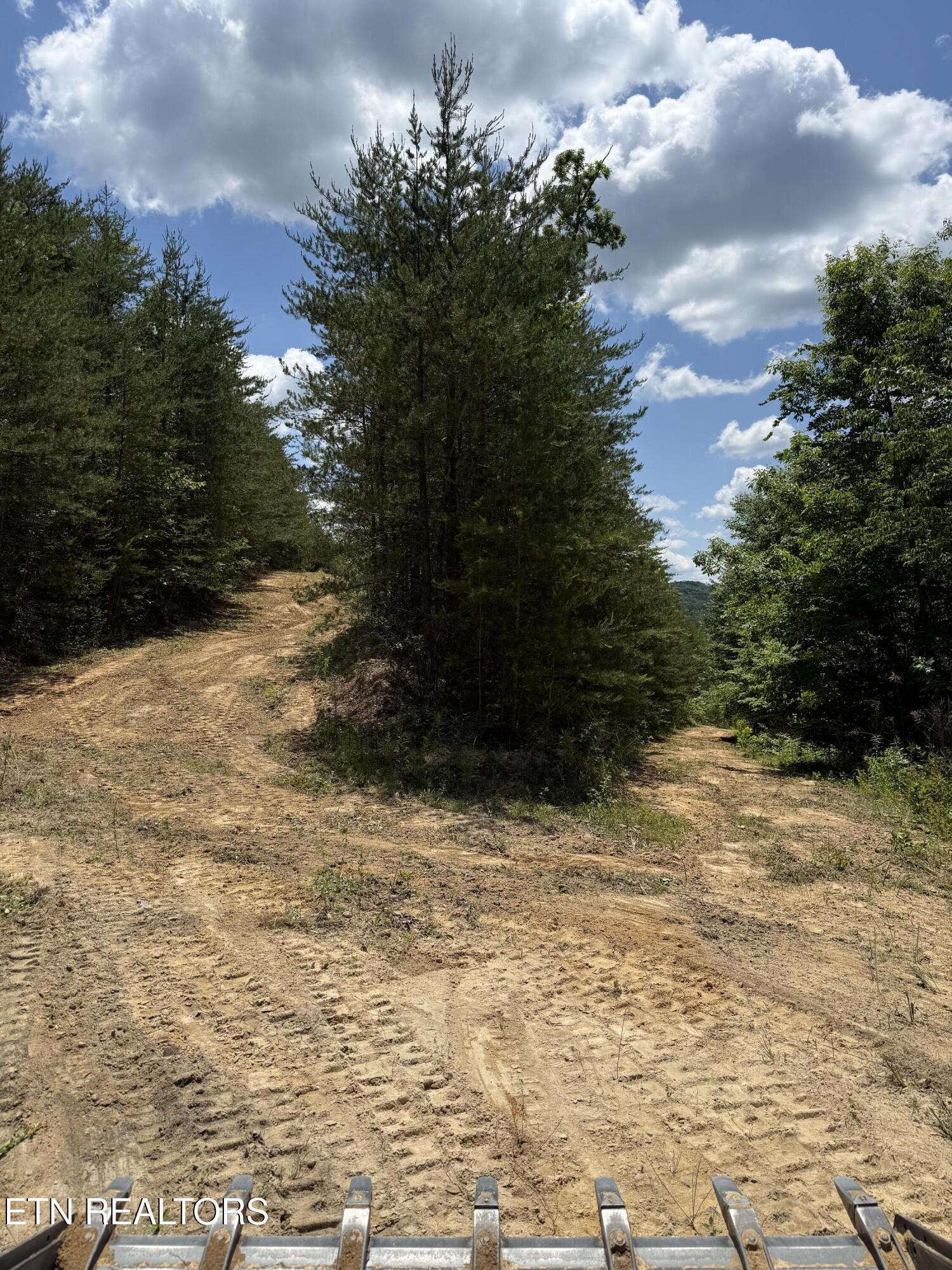 39.02 Ac Lake Heights Road Tellico Plains TN 37385