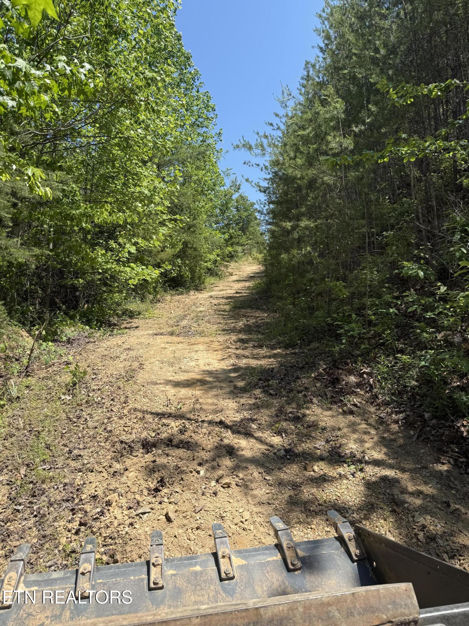 39.02 Ac Lake Heights Road Tellico Plains TN 37385