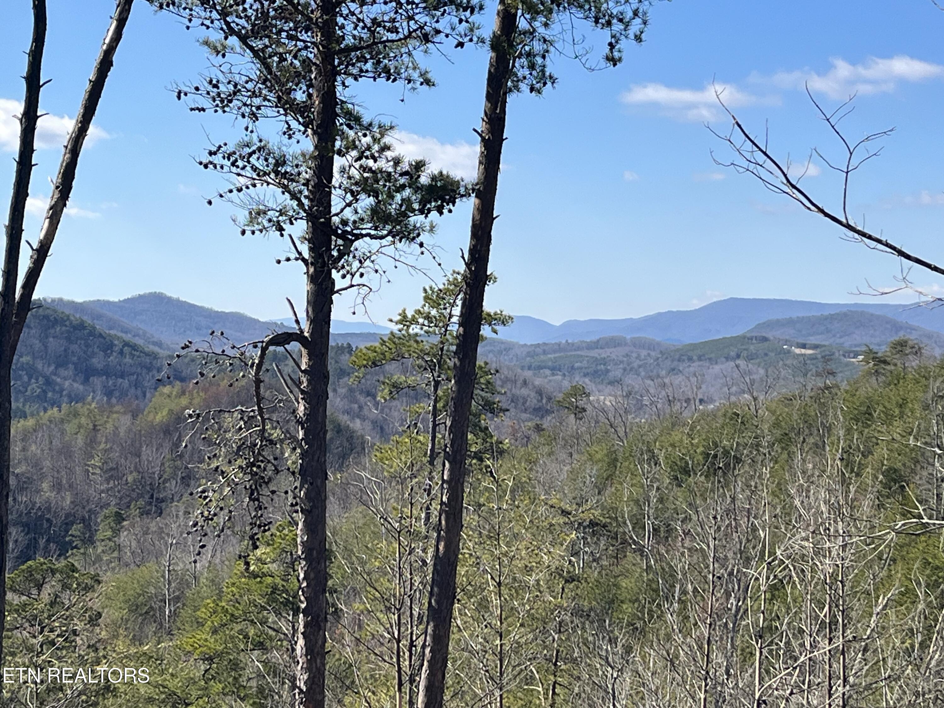 39.02 Ac Lake Heights Road Tellico Plains TN 37385