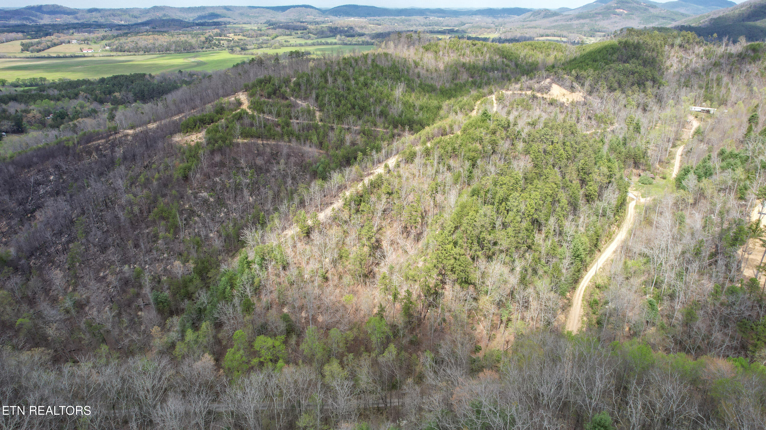39.02 Ac Lake Heights Road Tellico Plains TN 37385