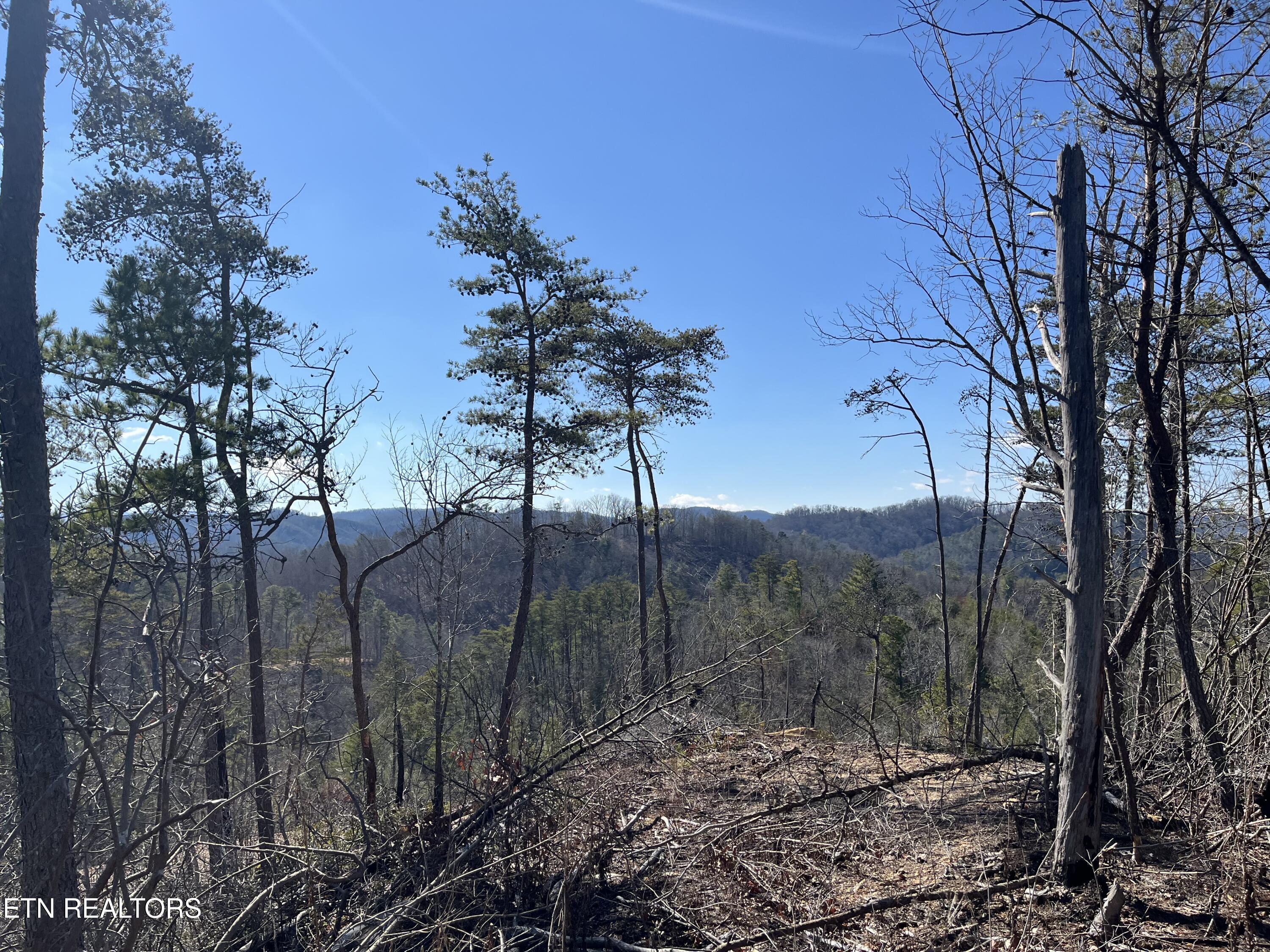 39.02 Ac Lake Heights Road Tellico Plains TN 37385