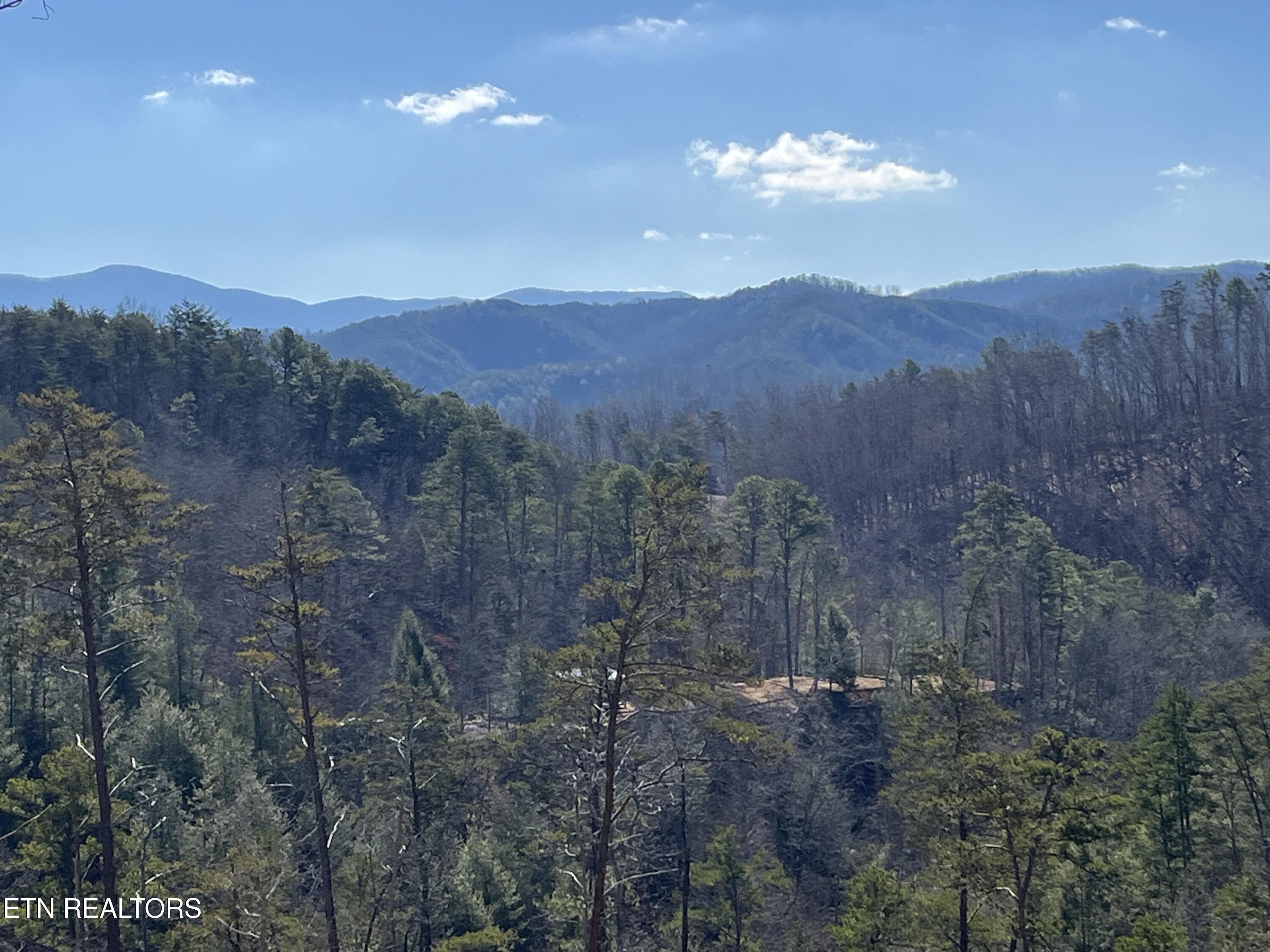 39.02 Ac Lake Heights Road Tellico Plains TN 37385