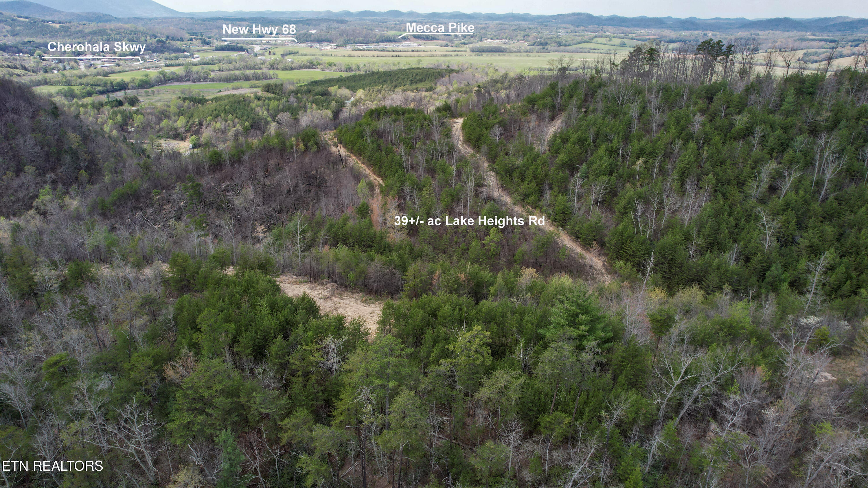 39.02 Ac Lake Heights Road Tellico Plains TN 37385