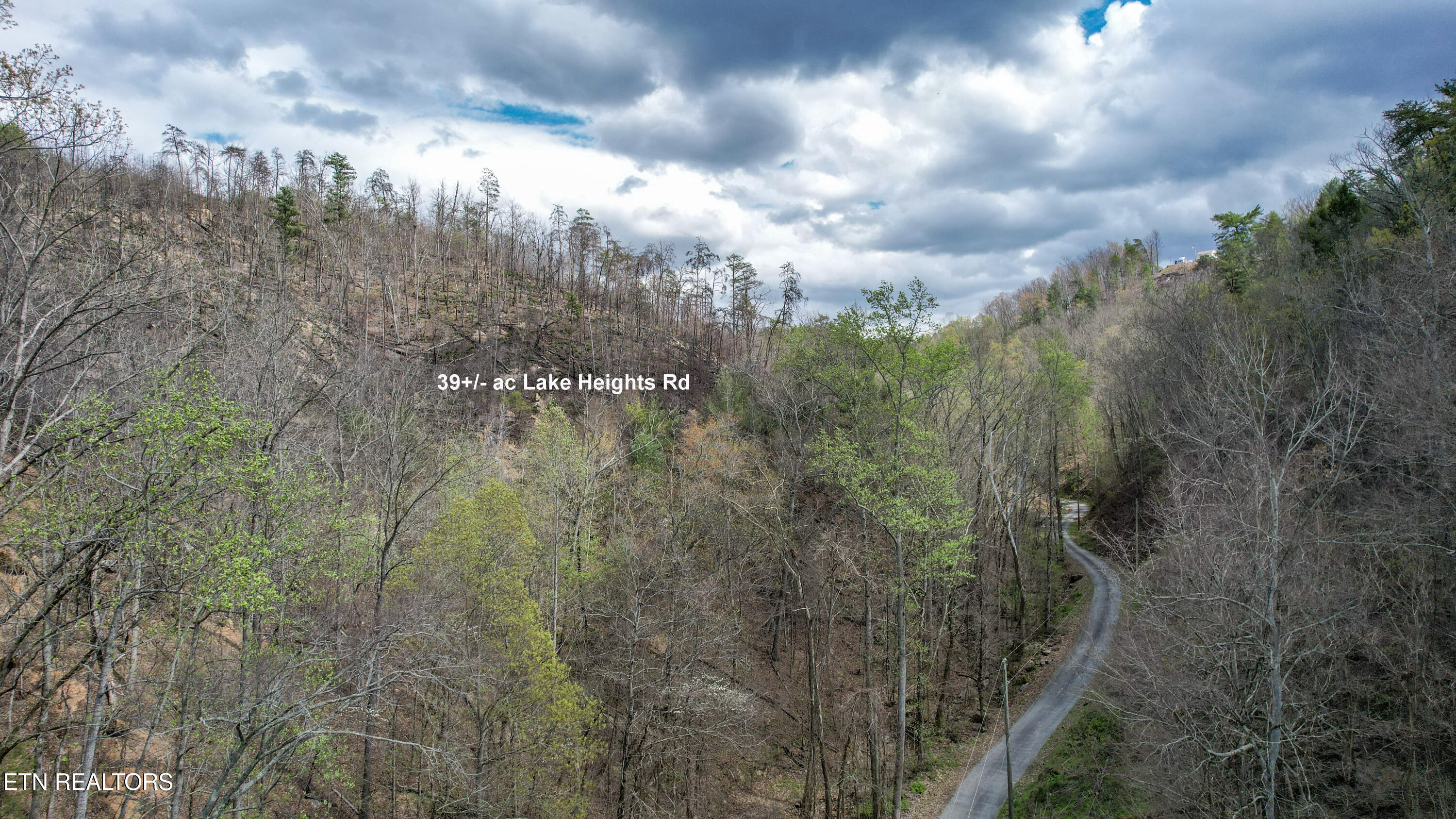 39.02 Ac Lake Heights Road Tellico Plains TN 37385