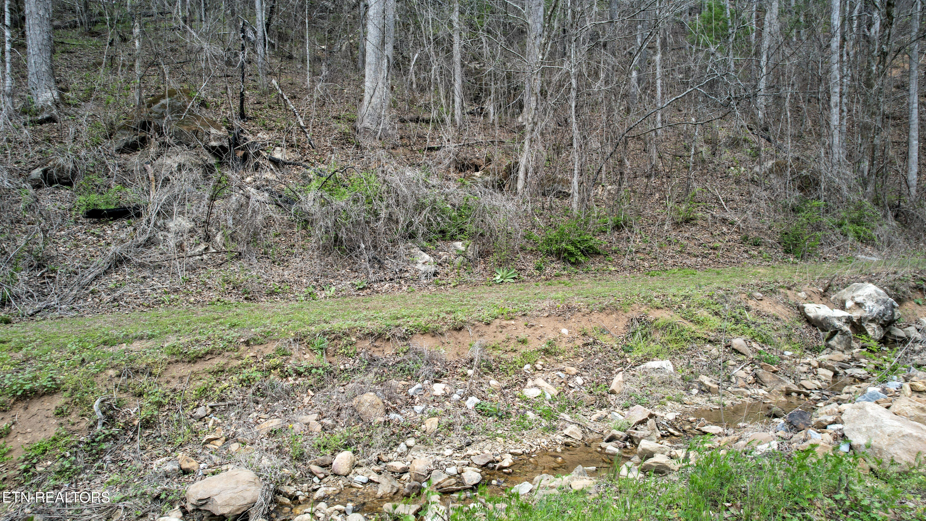 39.02 Ac Lake Heights Road Tellico Plains TN 37385